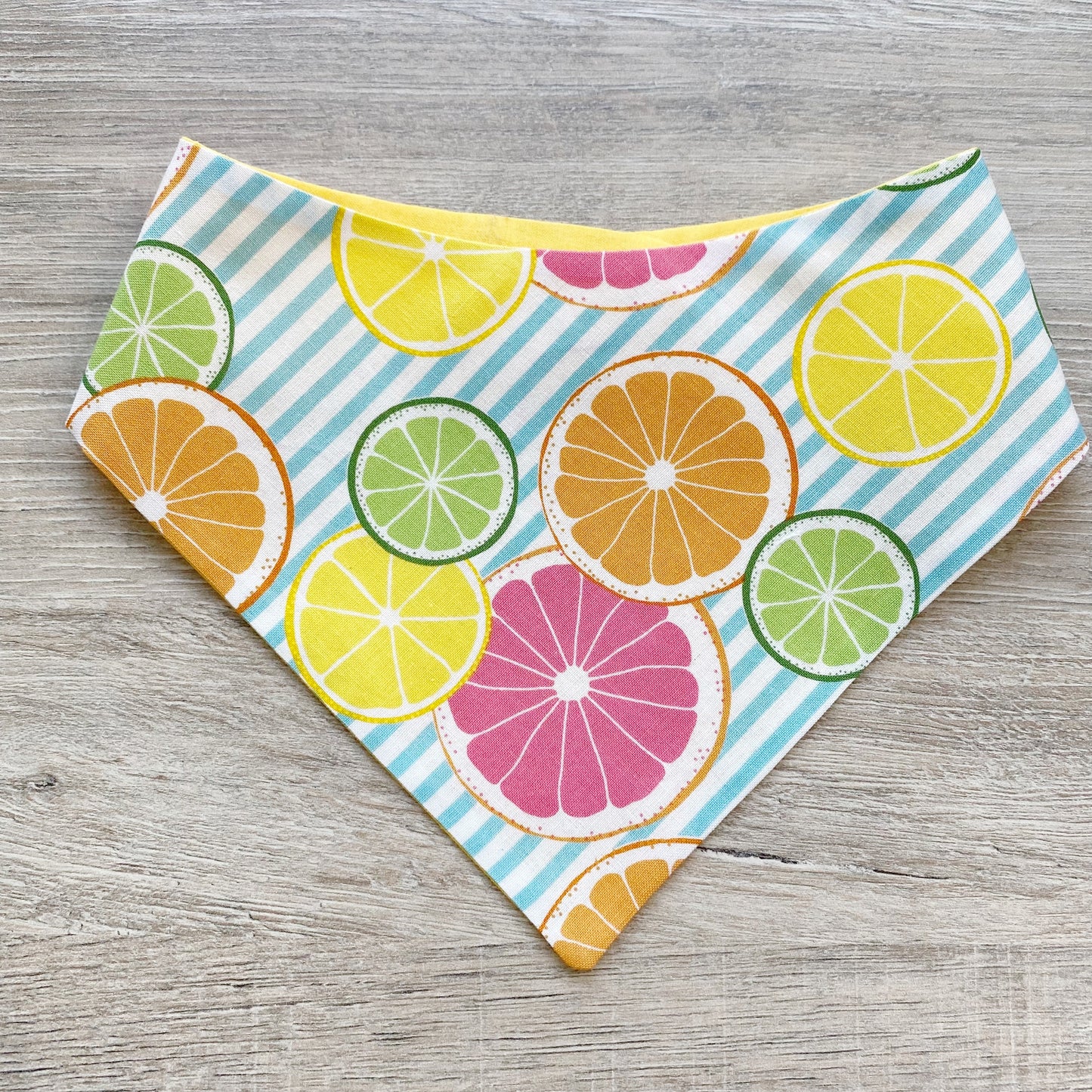 Oranges Summer Dog Bandana
