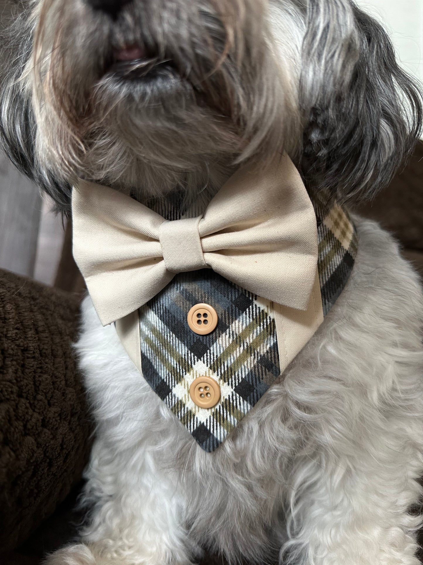 Fall Dog Tuxedo, Beige Plaid Dog
