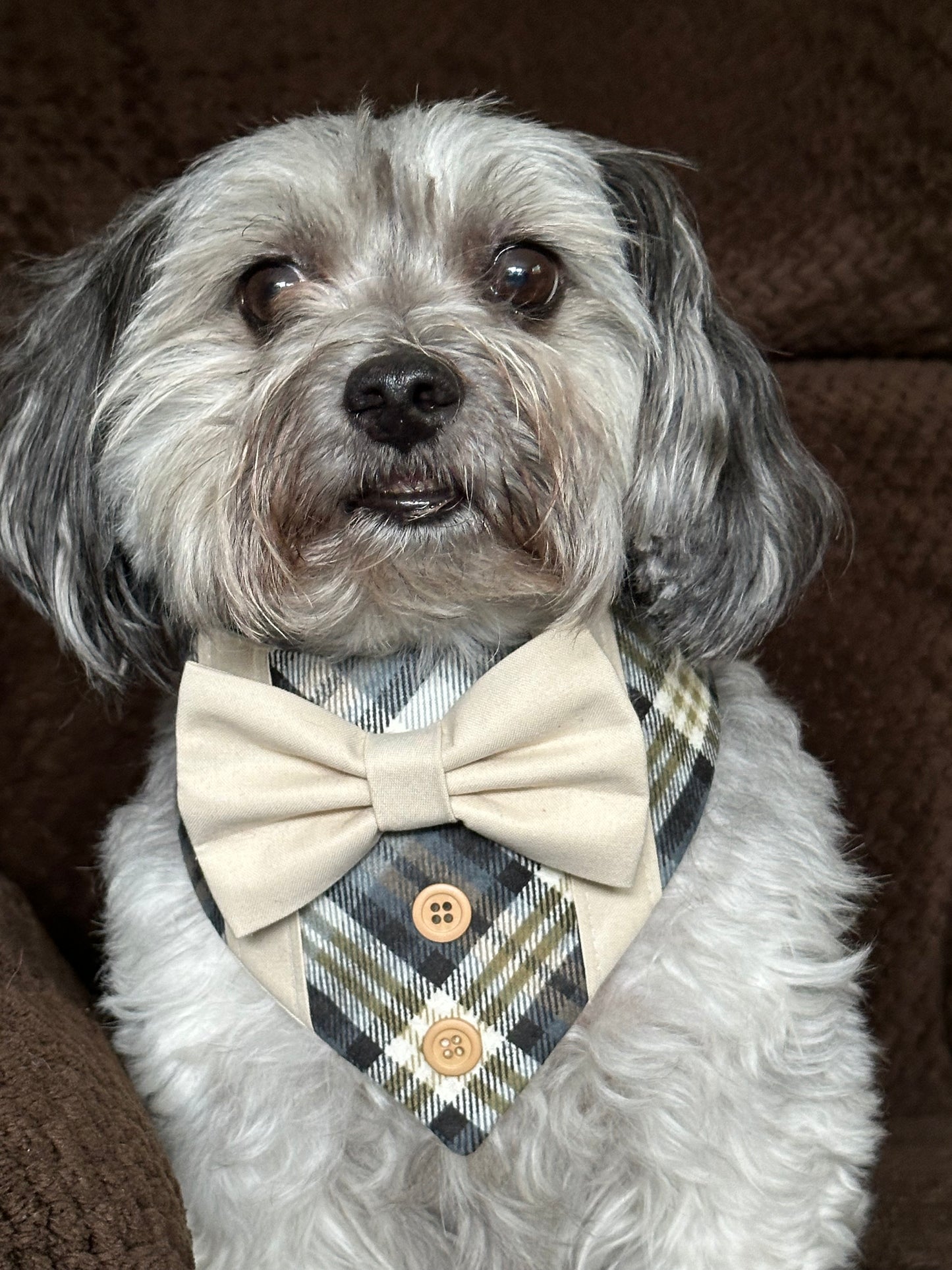 Fall Dog Tuxedo, Beige Plaid Dog