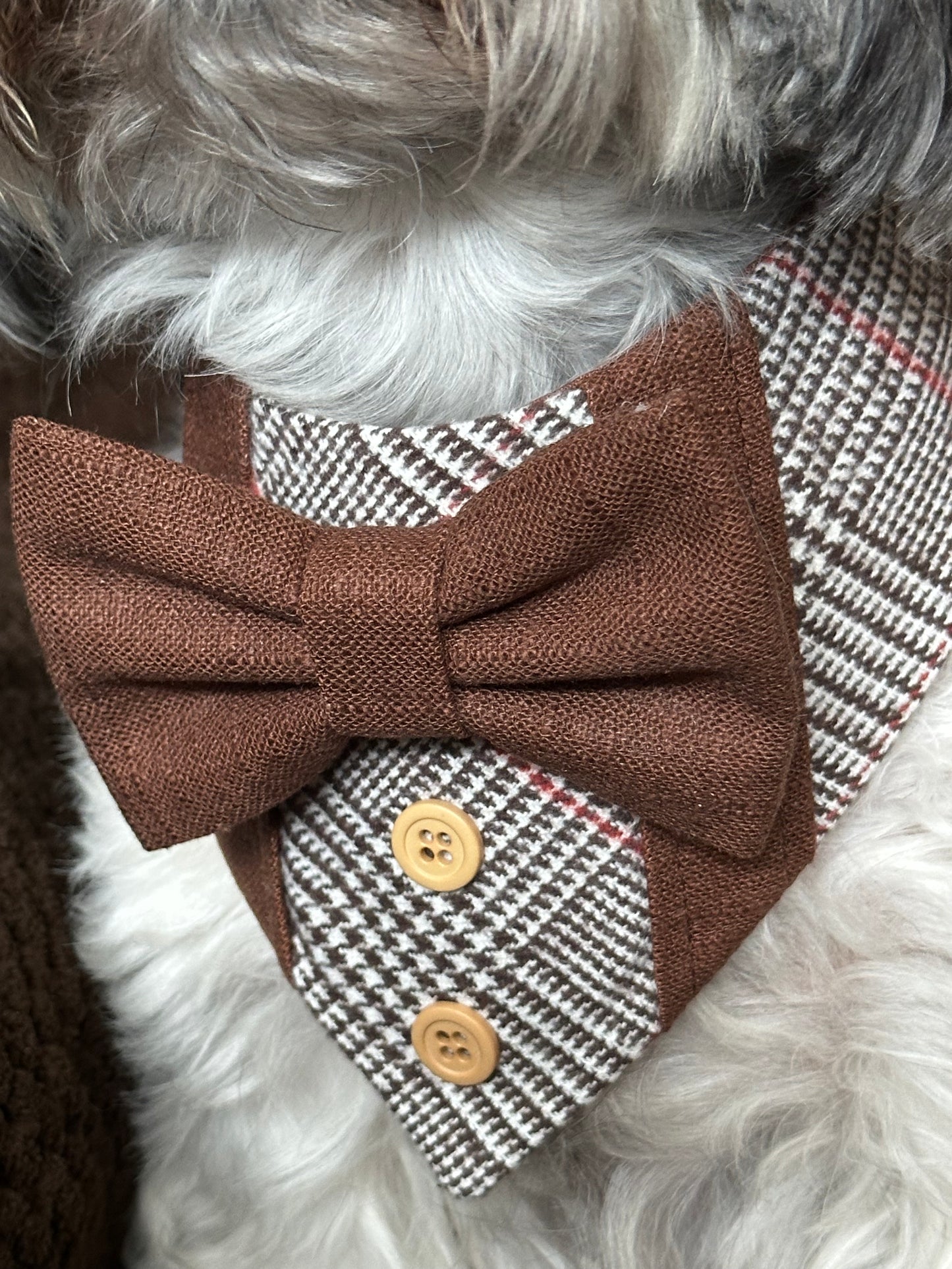 Fall Dog Tuxedo, Brown Plaid
