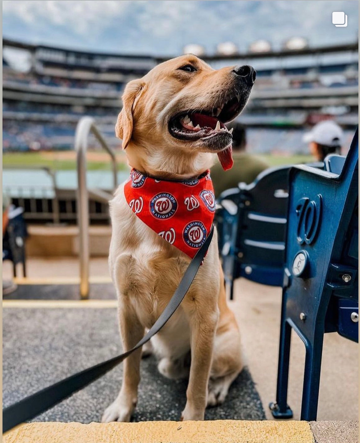 Baseball1 Sport Bandana