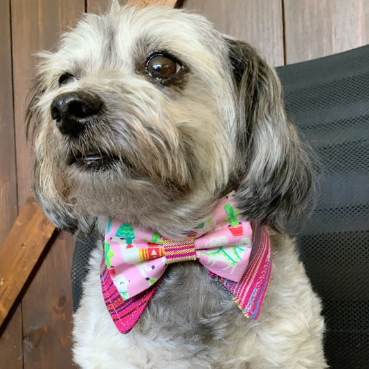 Cinco de Mayo Dog Collar Bandana, Fiesta Tuxedo