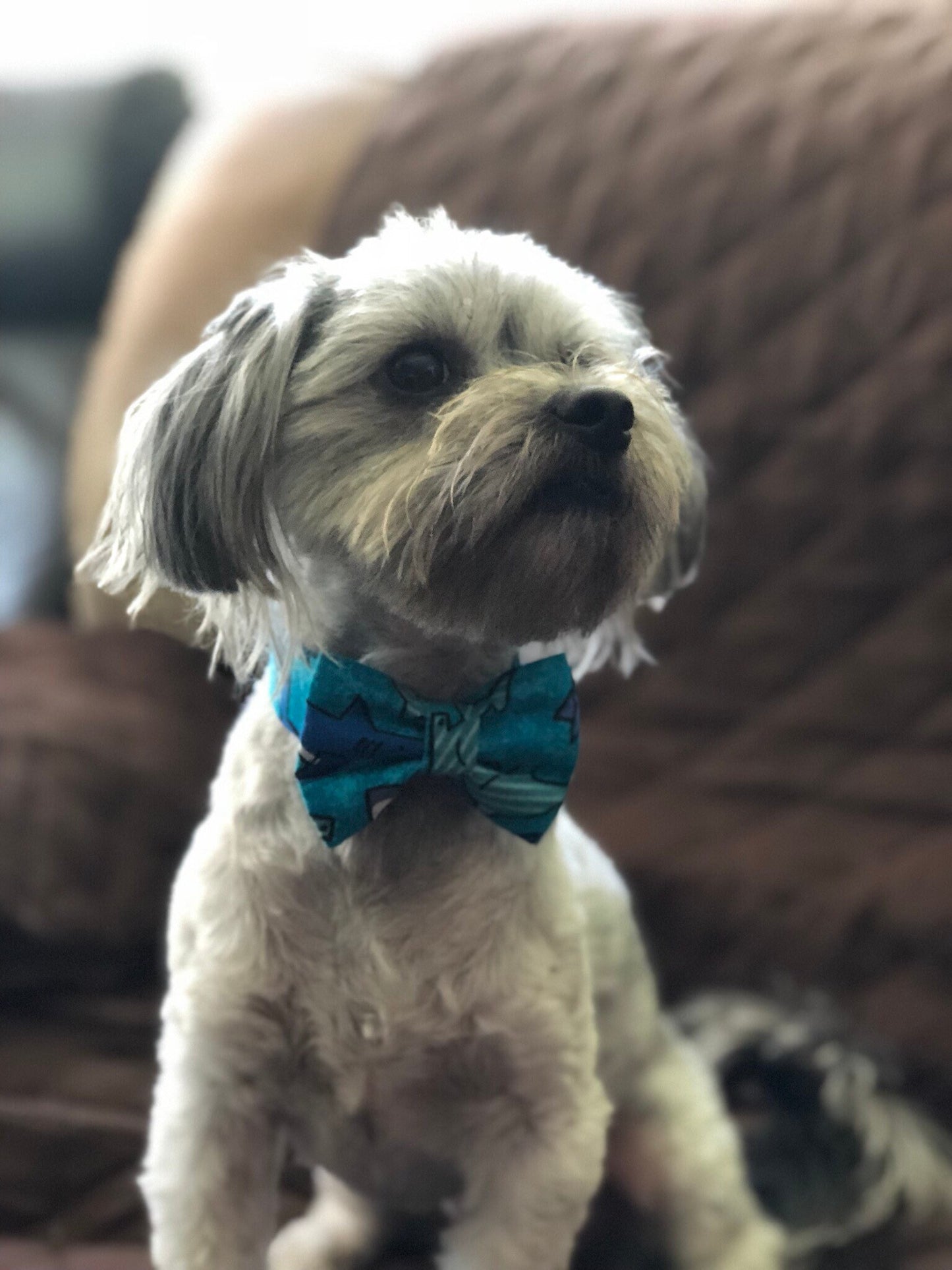 Christmas Silver-Black Glitter Dog Bow Tie
