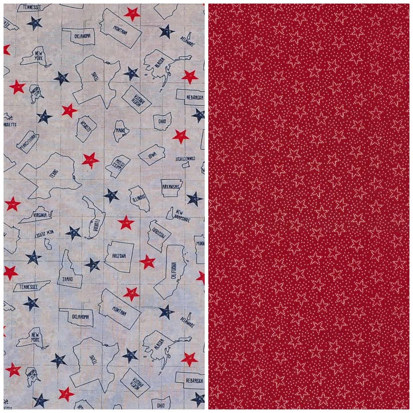50 States America Dog Bandana
