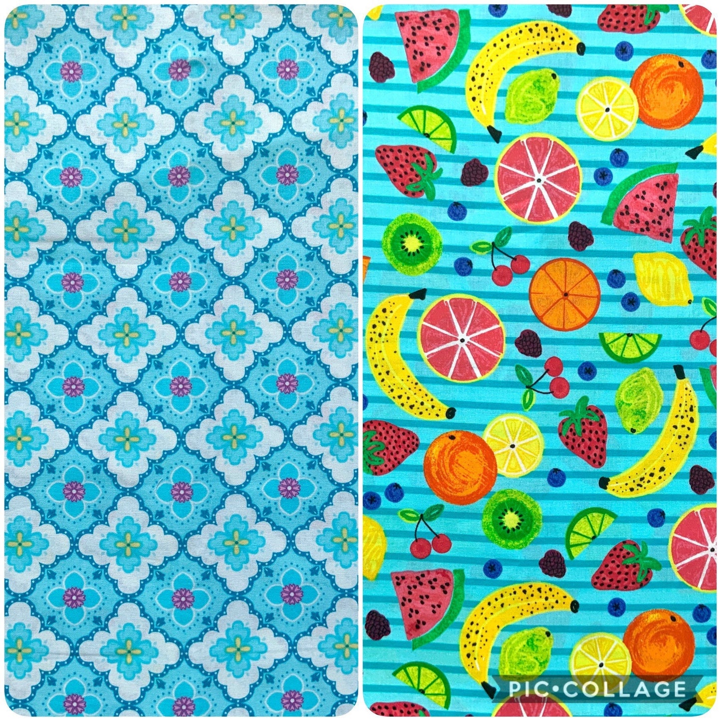 Fruity-Tooty Dog Bandana