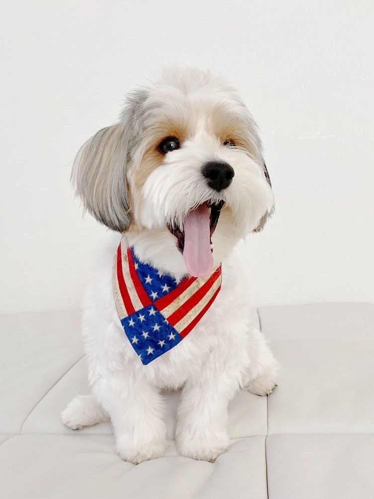 American Flag Dog Bandana