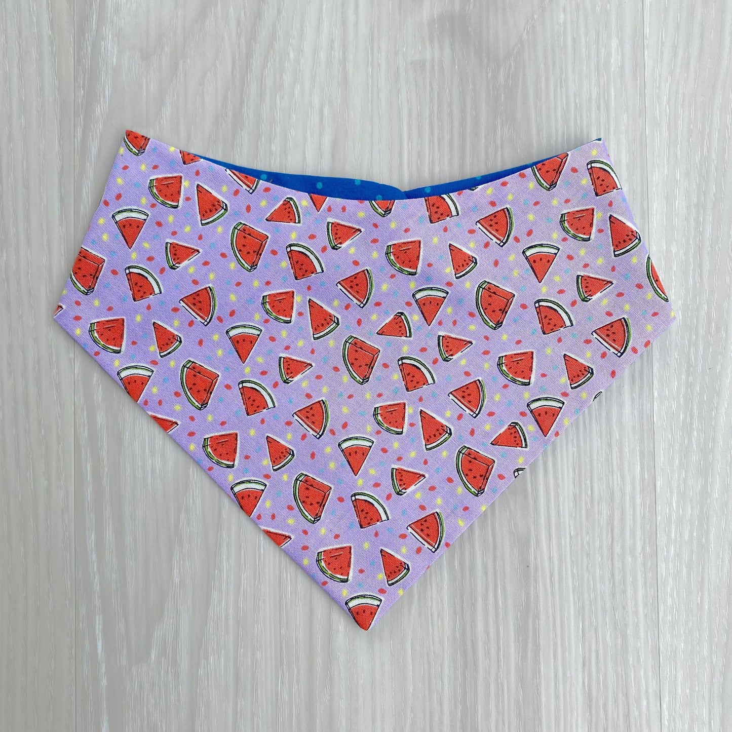 Watermelon Dog Bandana, Snap-On Style, Matching Hair Bow