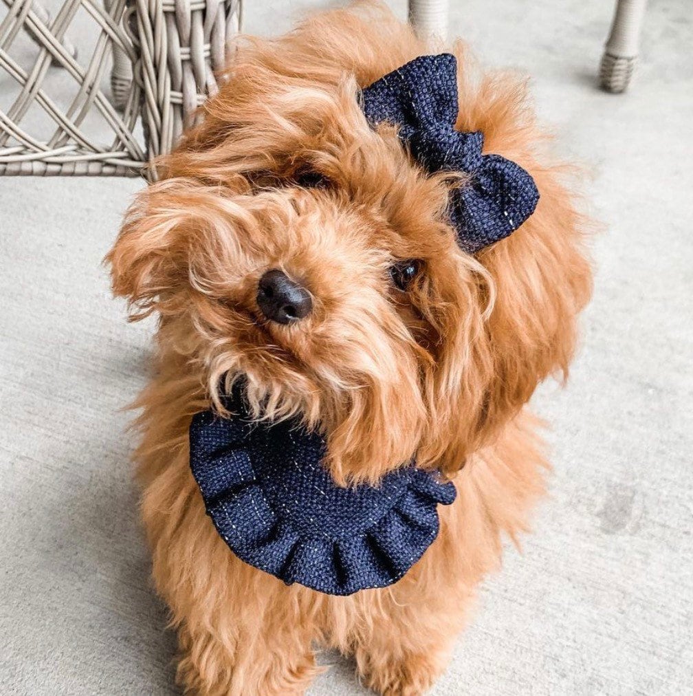 Peach Lace Floral Ruffle Dog Bandana with Matching Bow