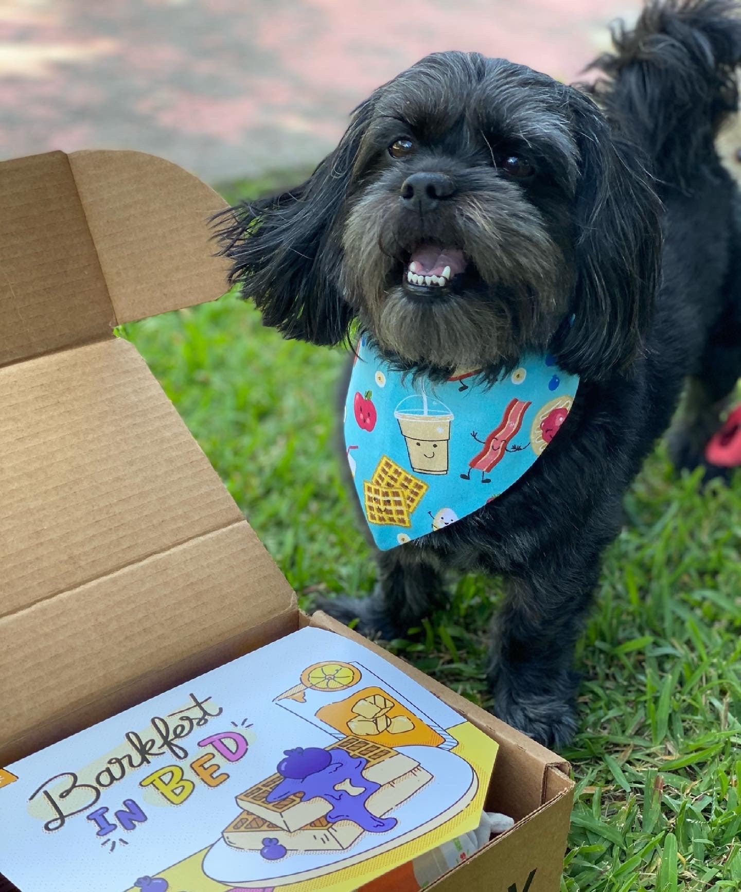 Summer dog bandana tropical beach fun bandanas reversible and adjustable snaps summer vacation scarf for pets