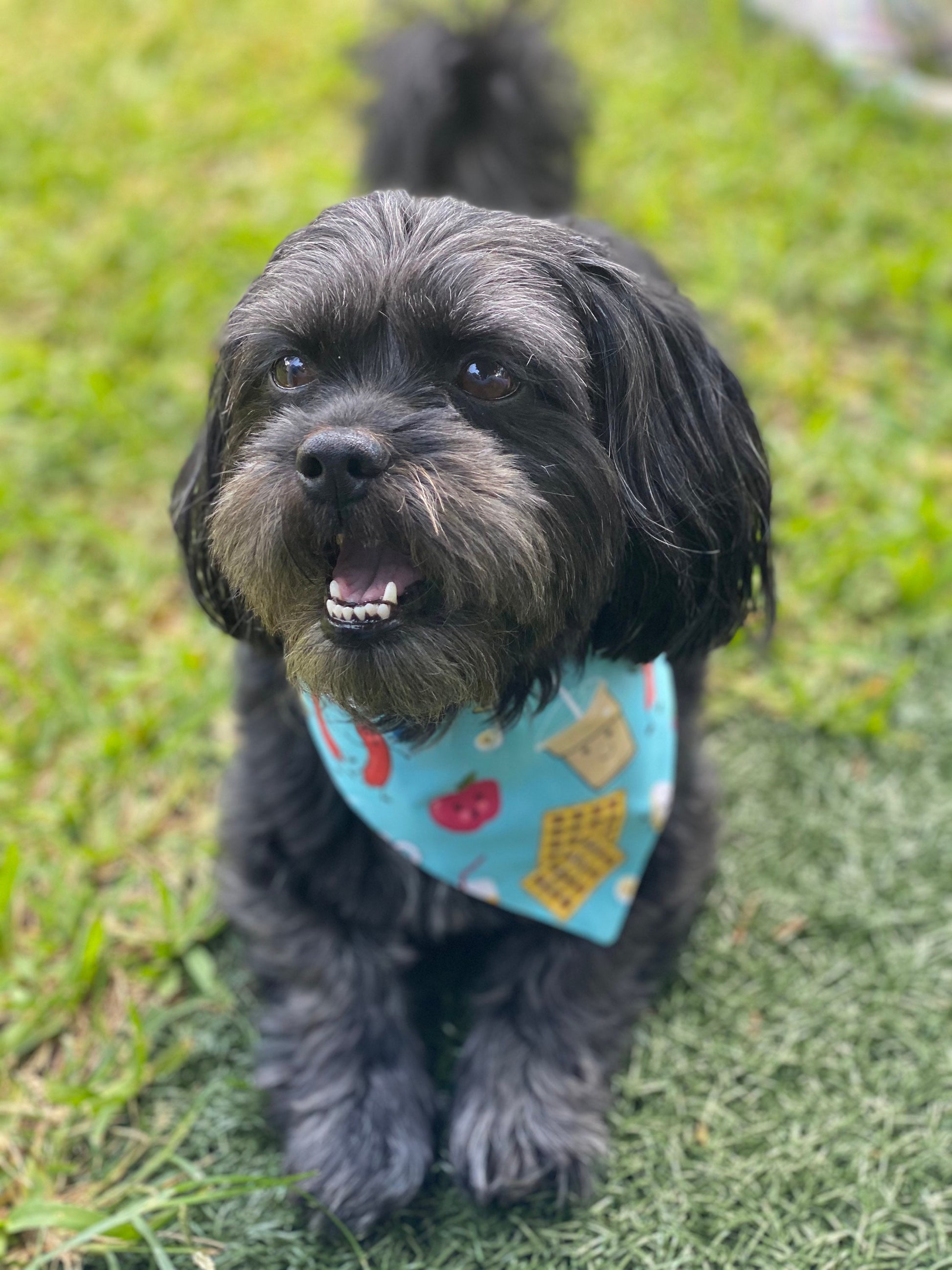 Summer dog bandana tropical beach fun bandanas reversible and adjustable snaps summer vacation scarf for pets
