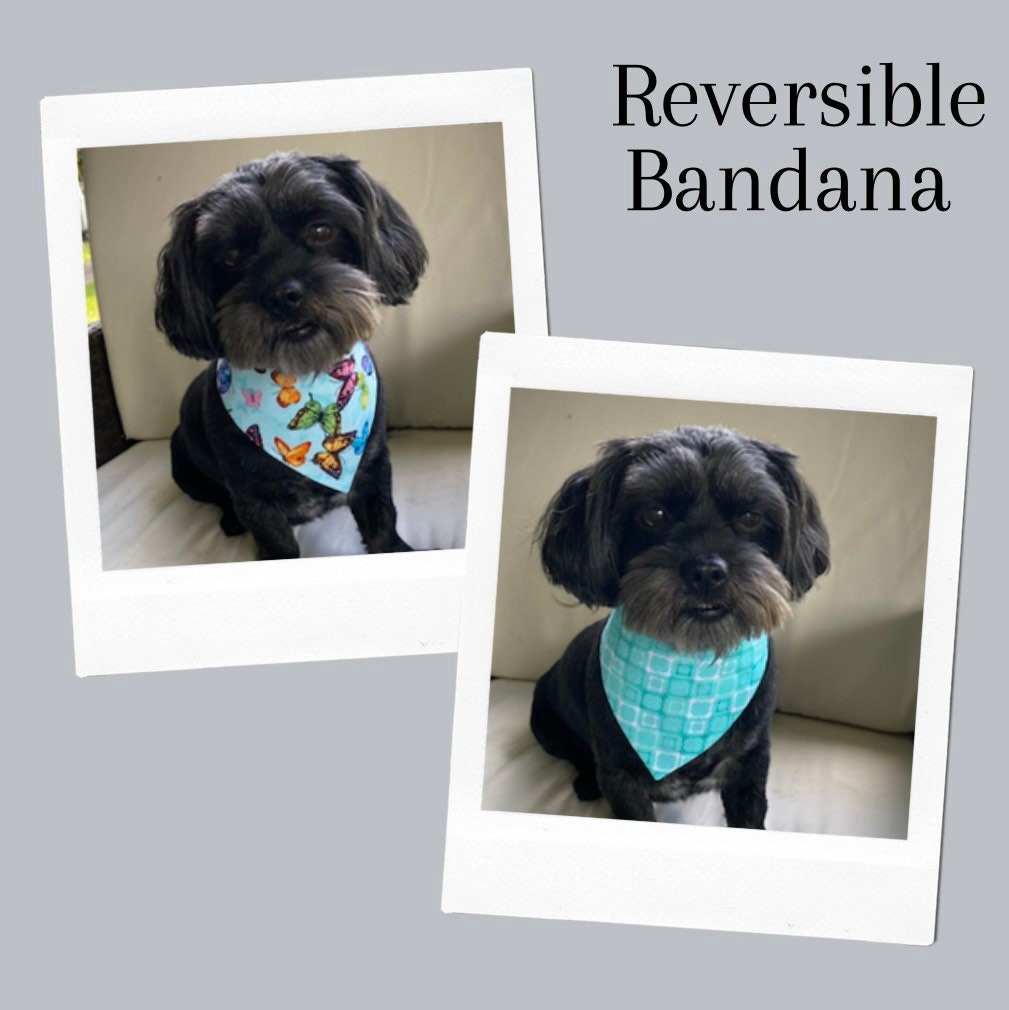 Butterfly Spring Dog bandana