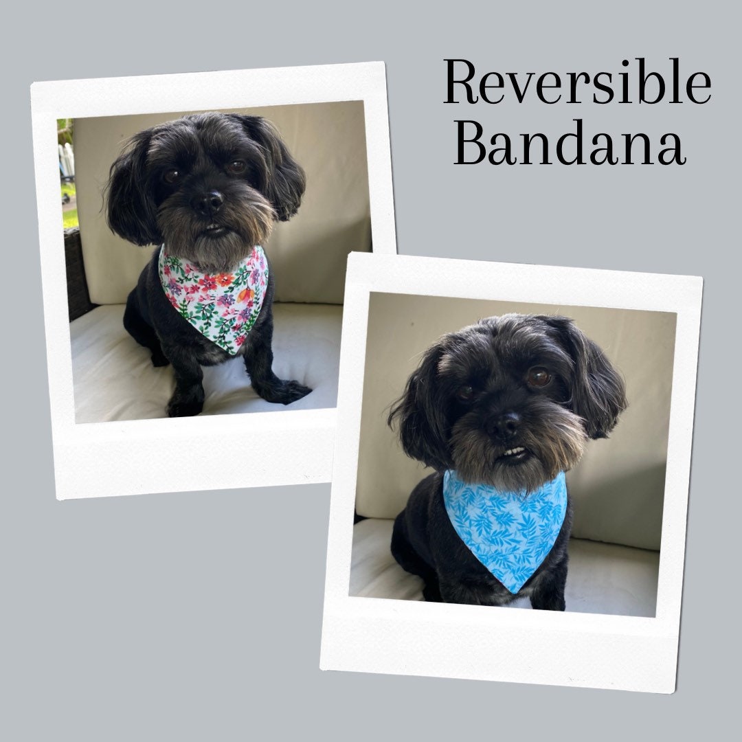 Pink & Blue floral Dog bandana