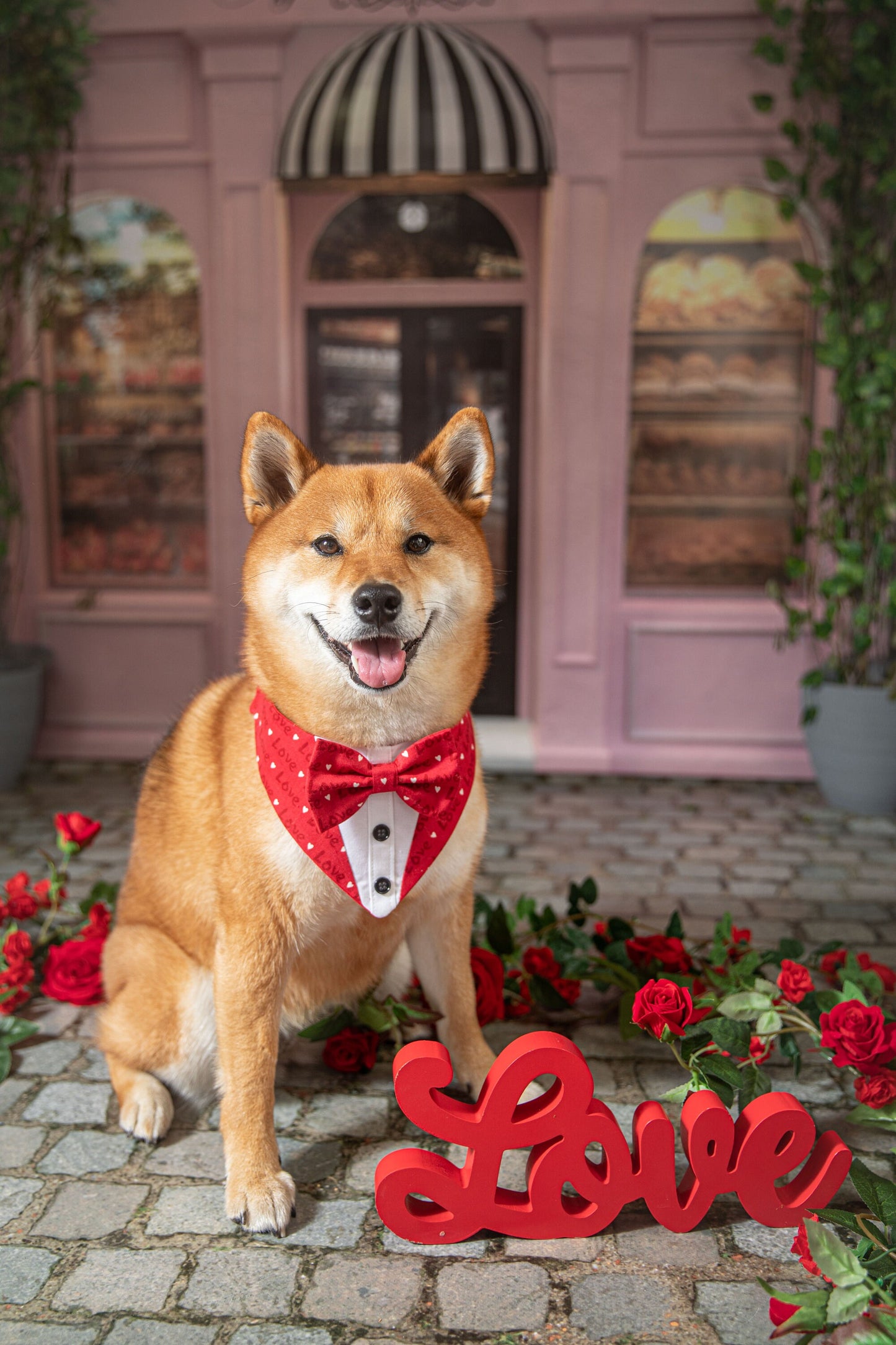 Valentines Day Dog Bandana with Bowtie, Tuxedo Pet Scarf