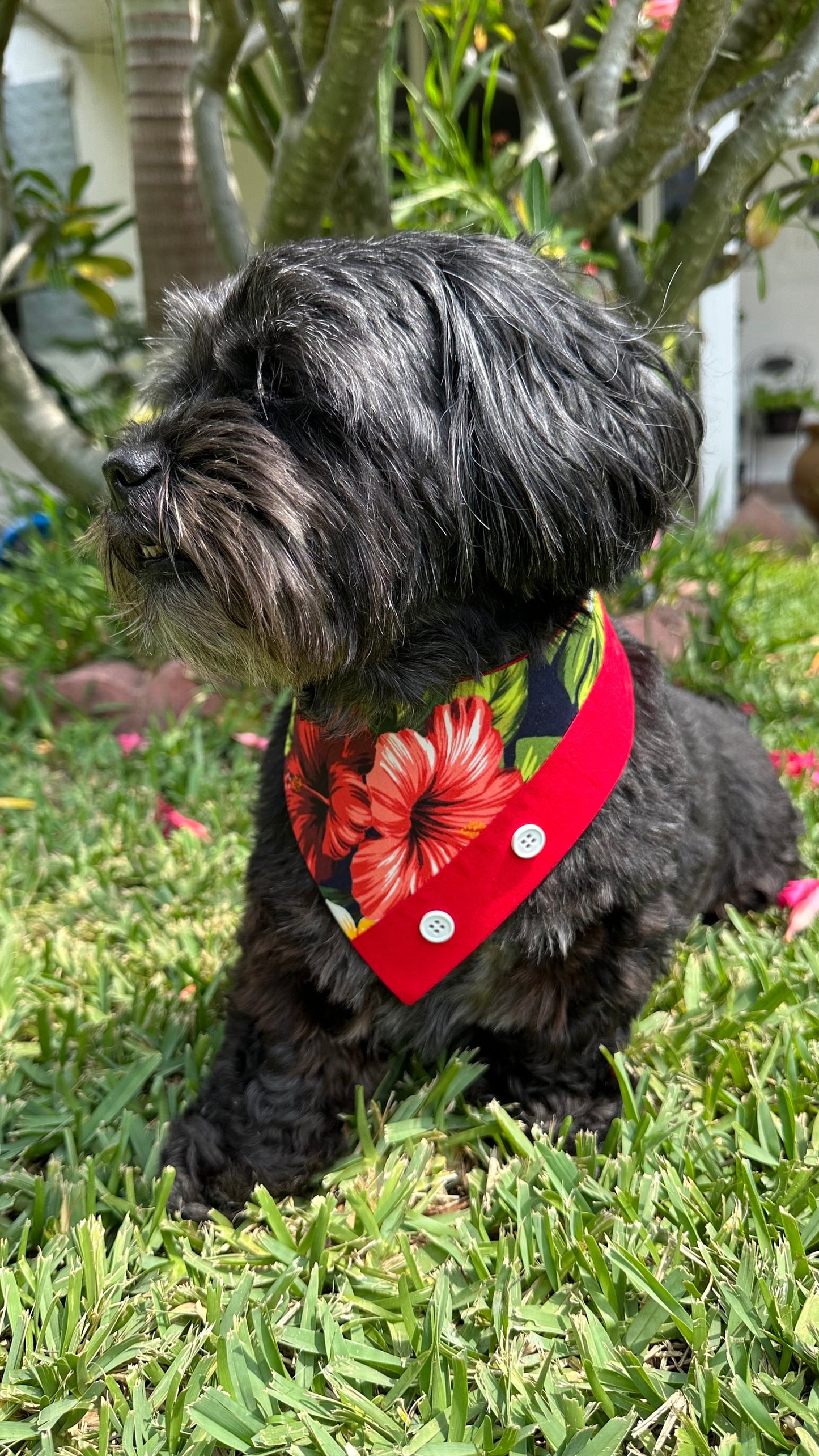 Black Tropical Hawaiian Dog Bandana, accessories for pets, gift for puppies, Hawaiian pet scarf
