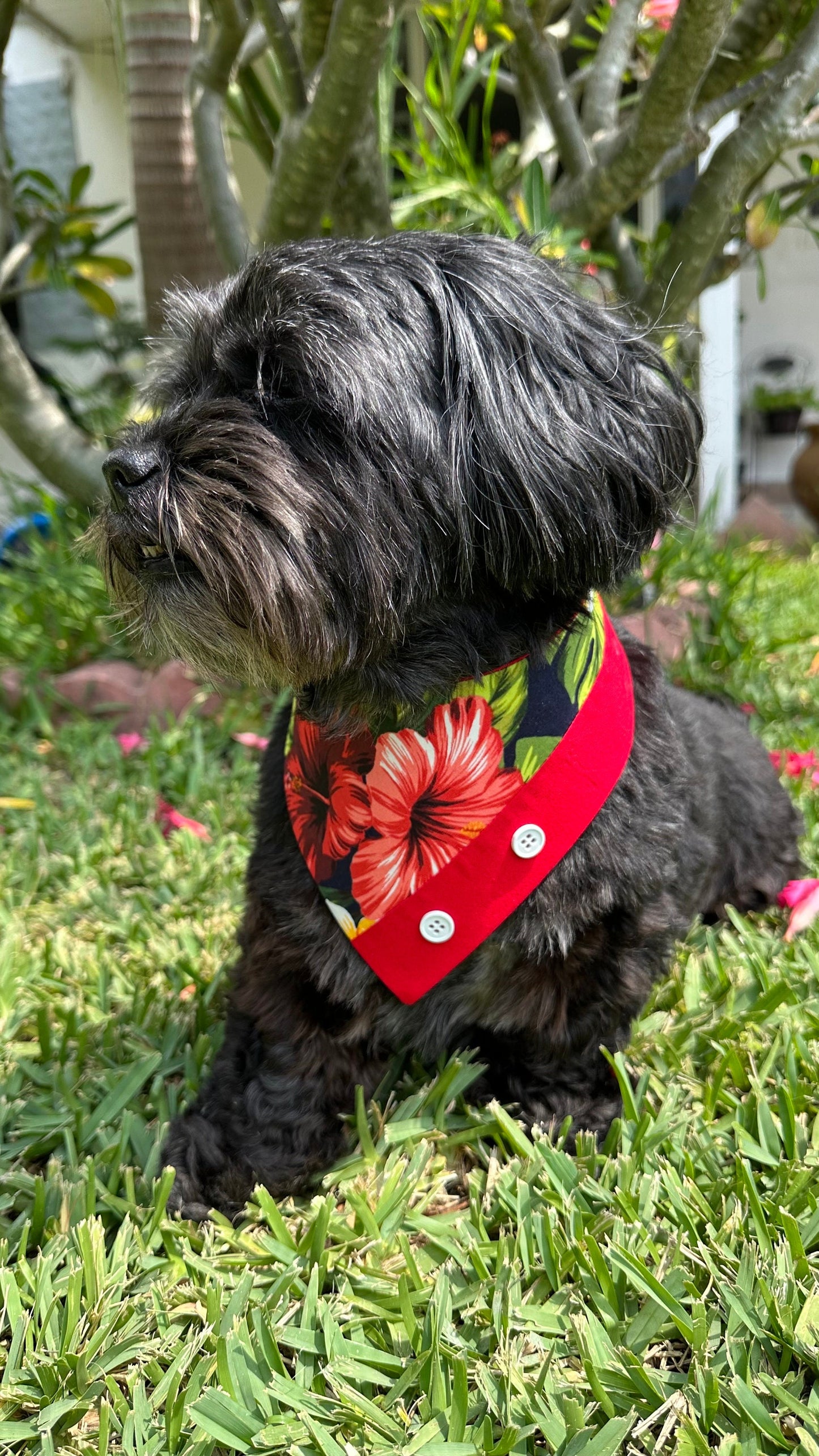 Black Tropical Hawaiian Dog Bandana