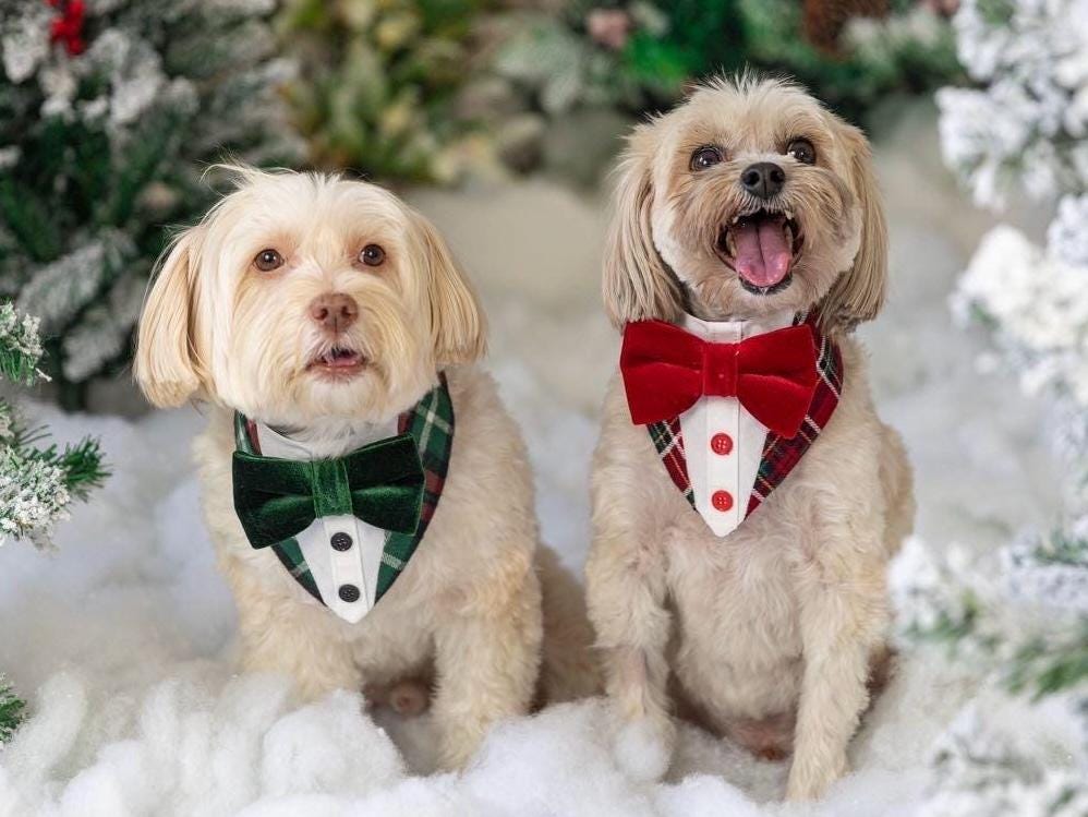 Christmas Blue Ginger Bread Dog Tuxedo Bandana