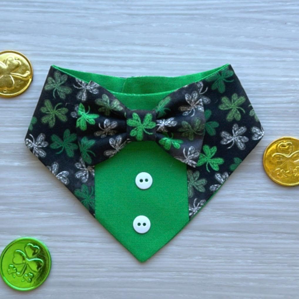 St. Patrick Dog Tuxedo Bandana, Chalk shamrocks