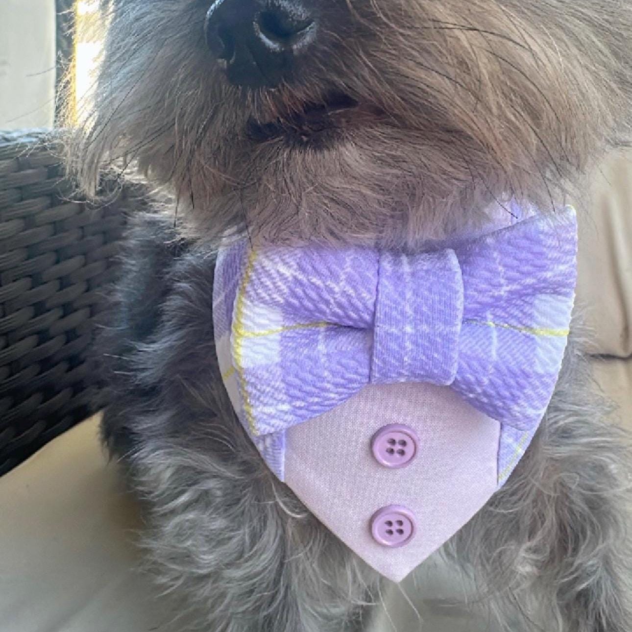 Easter Dog Tuxedo Bandana, purple plaid, Bandana with bow tie for dogs, Easter cute dog boy accessories