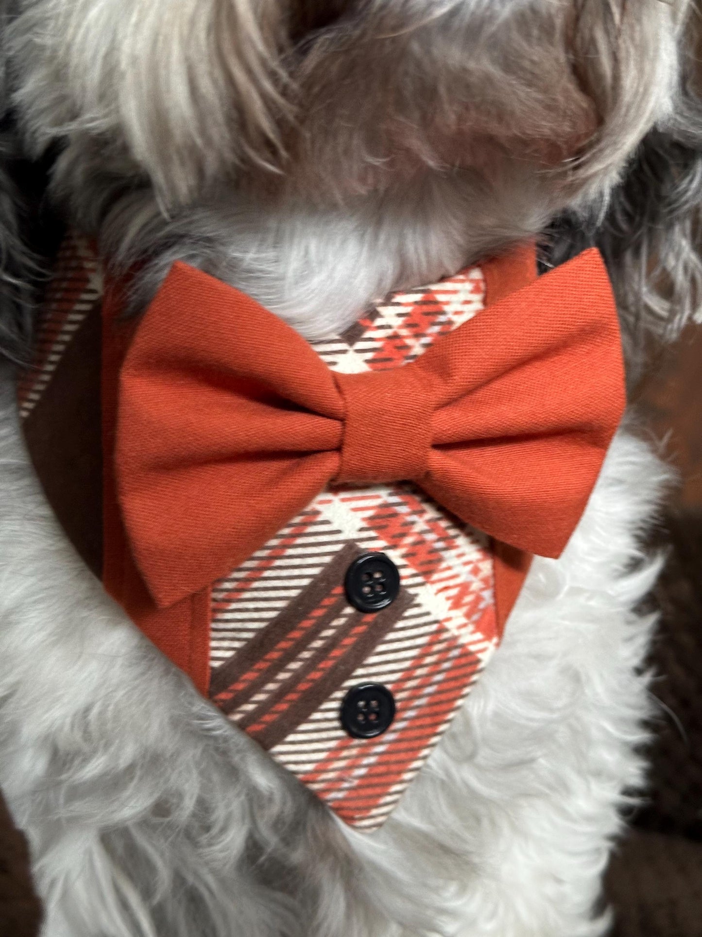 Fall Dog Tuxedo, Pumpkin Spice Plaid
