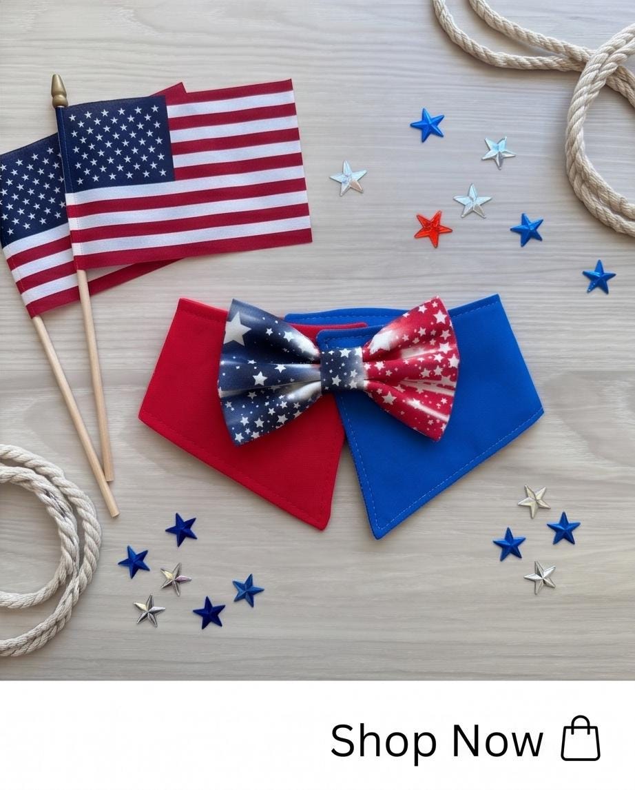 Patriotic Dog Collar Bandana, 4th of July Pet Bandana, USA Scarf, Independence Day Dog Gift, American pet Bandana, Tuxedo for dogs and cats