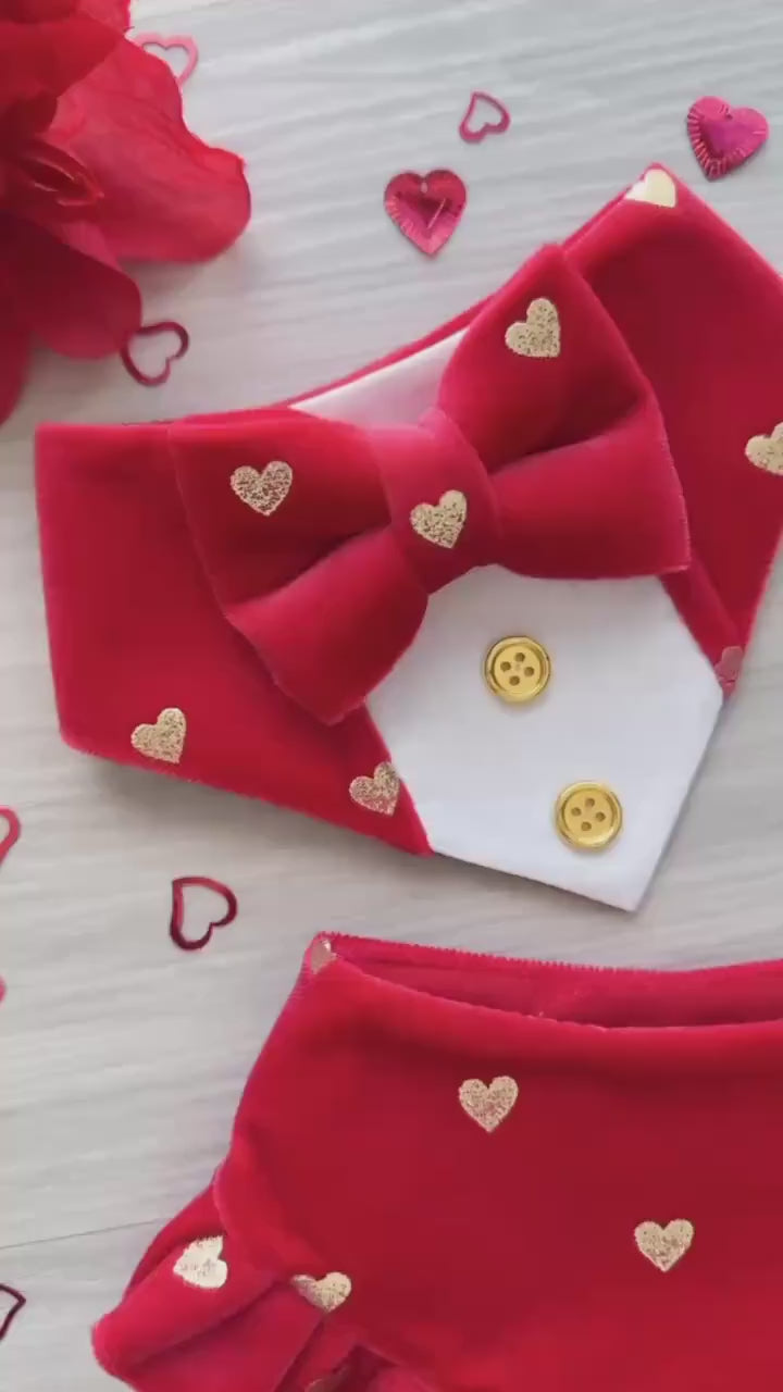 Fancy Valentines Dog Tuxedo, Pink Velvet and gold hearts, Valentines pet scarf, Pet accessory for cats, bandana and bowtie,
