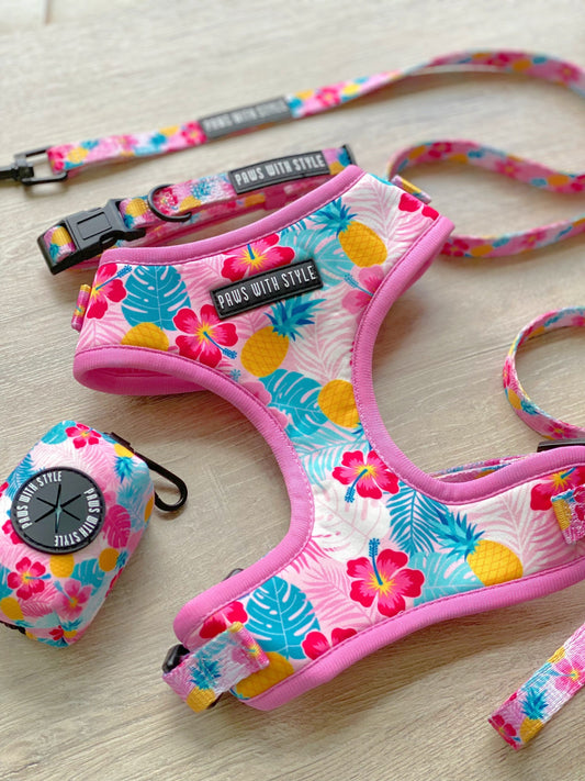 BUNDLE Set Pink Pineapple Adjustable Dog Harness