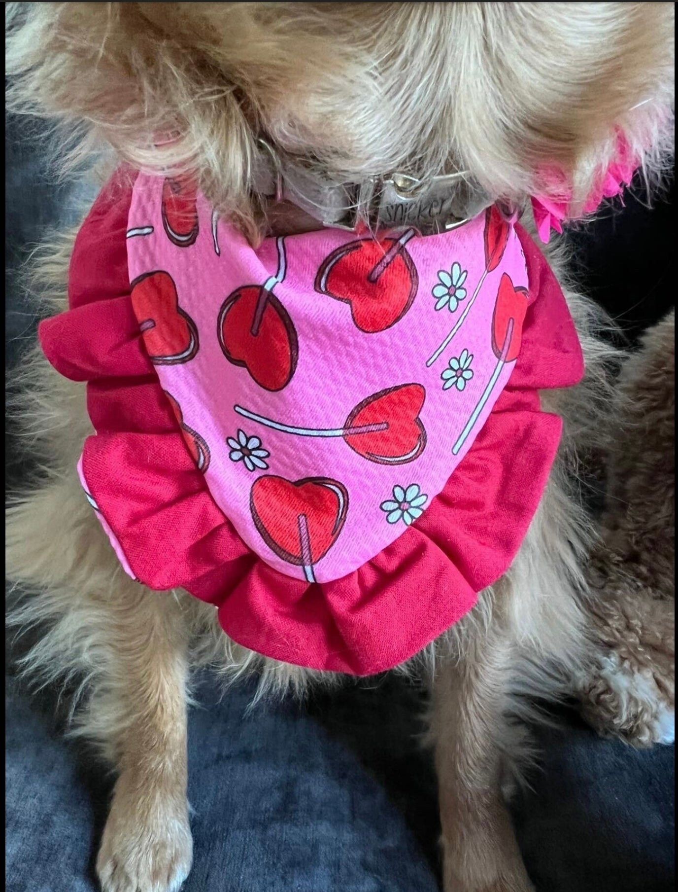 Lollypop Hearts Valentines Dog bandana with ruffles