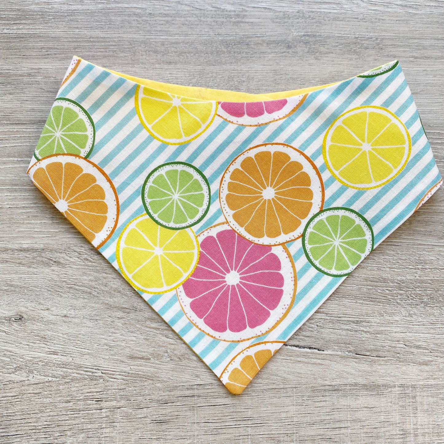 Oranges Summer Dog Bandana