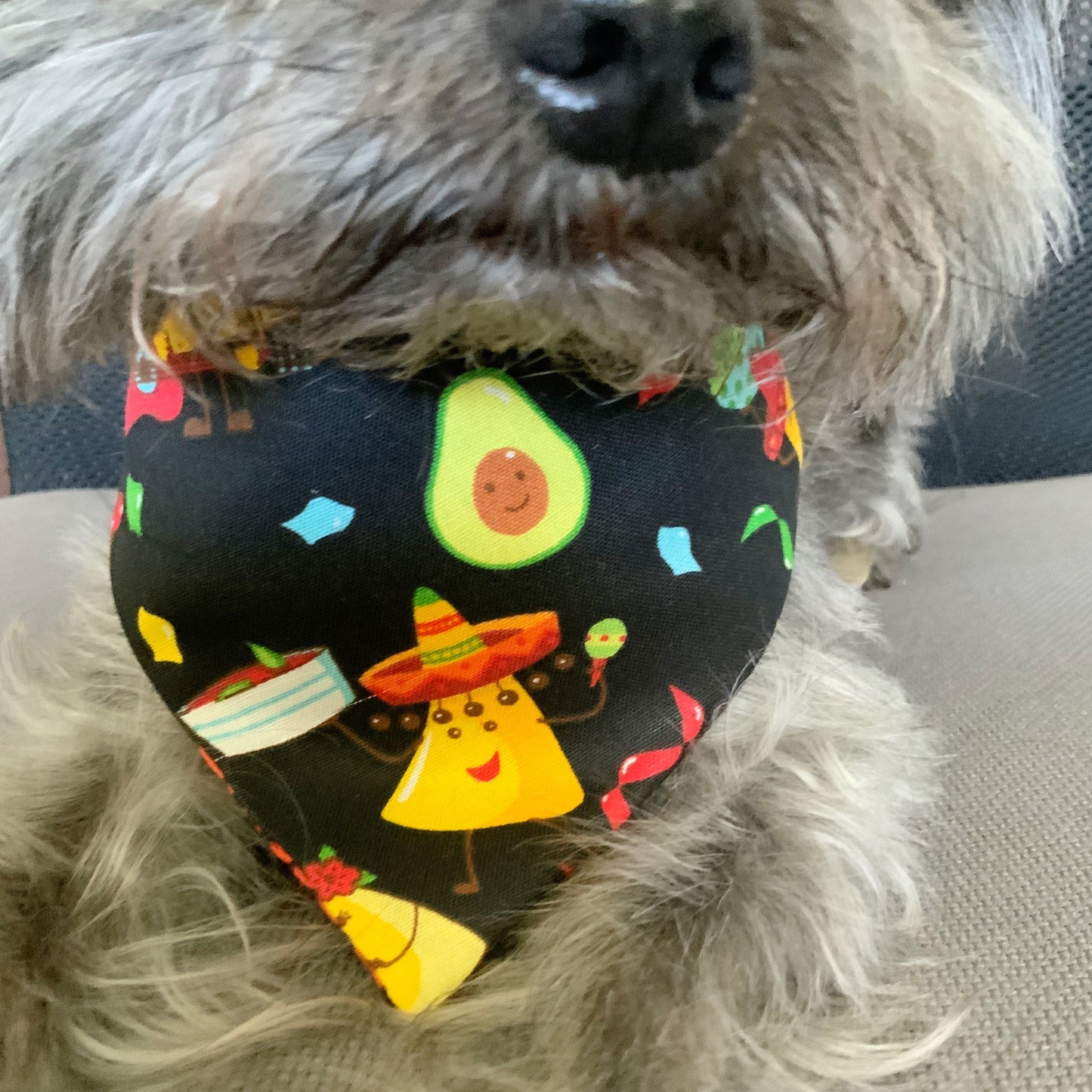 Cinco de Mayo Dog Bandana, Fiesta Dog accessories