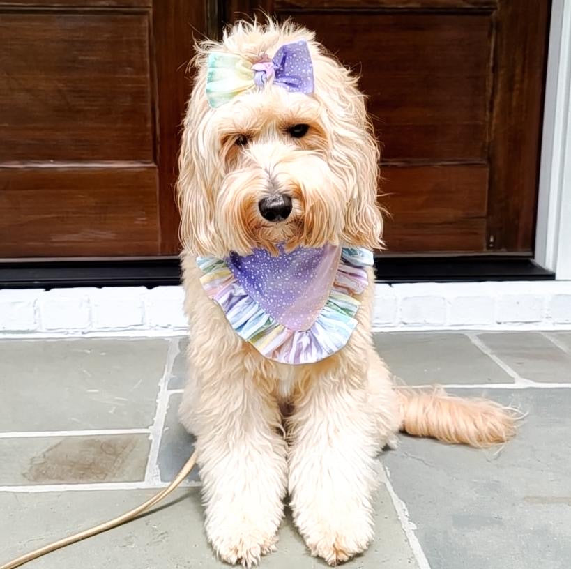 Custom Made Dog Bandana