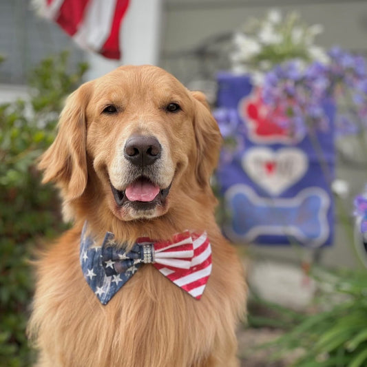 Dog Collar Tuxedo Bandana, Patriot 4th of July