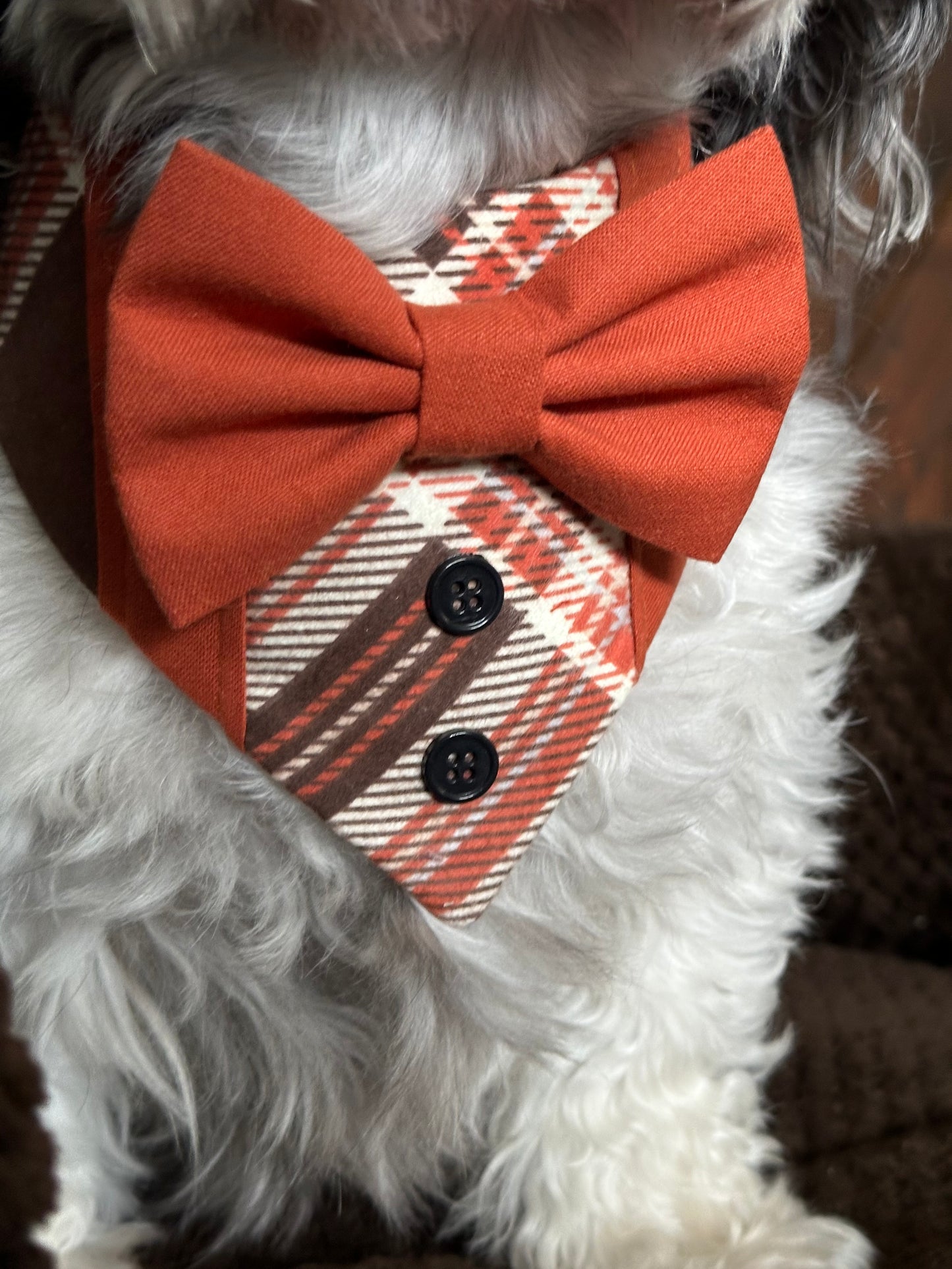 Fall Dog Tuxedo, Pumpkin Spice Plaid