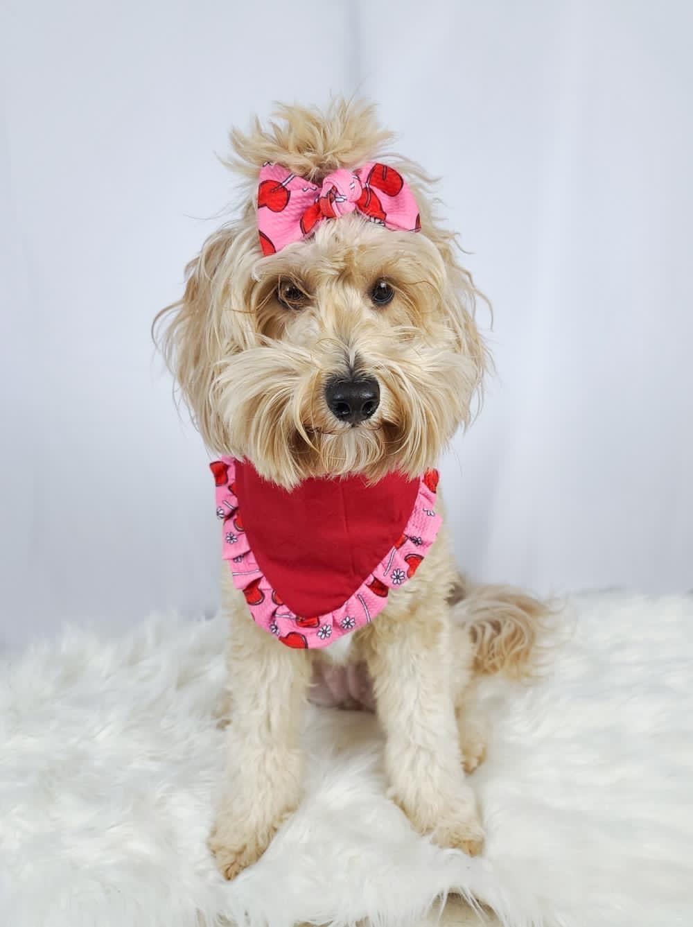 Lollypop Hearts Valentines Dog bandana with ruffles