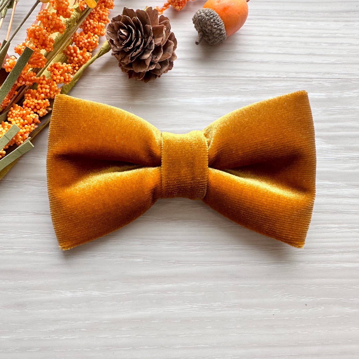 Velvet Fall Dog Bowtie,