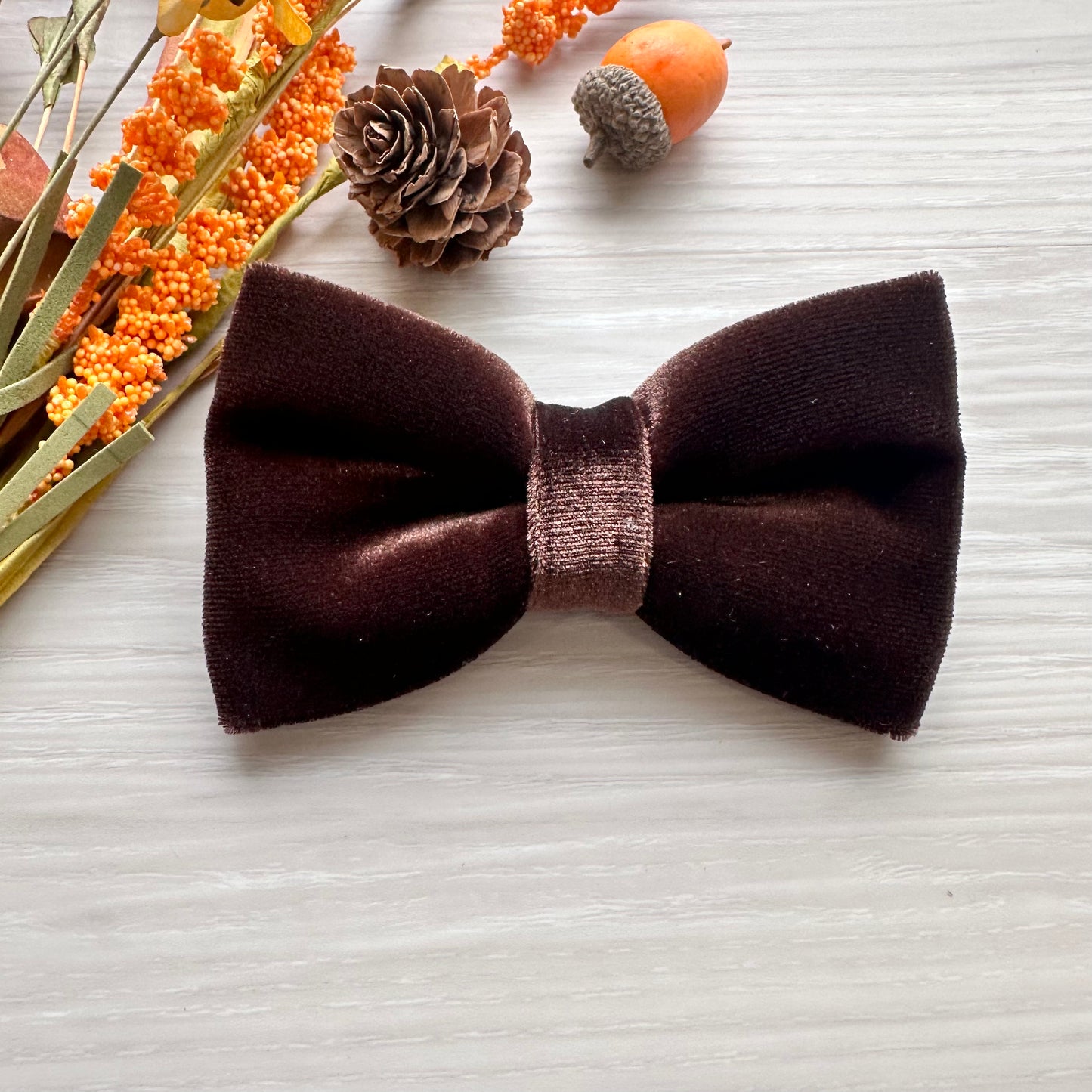 Velvet Fall Dog Bowtie,