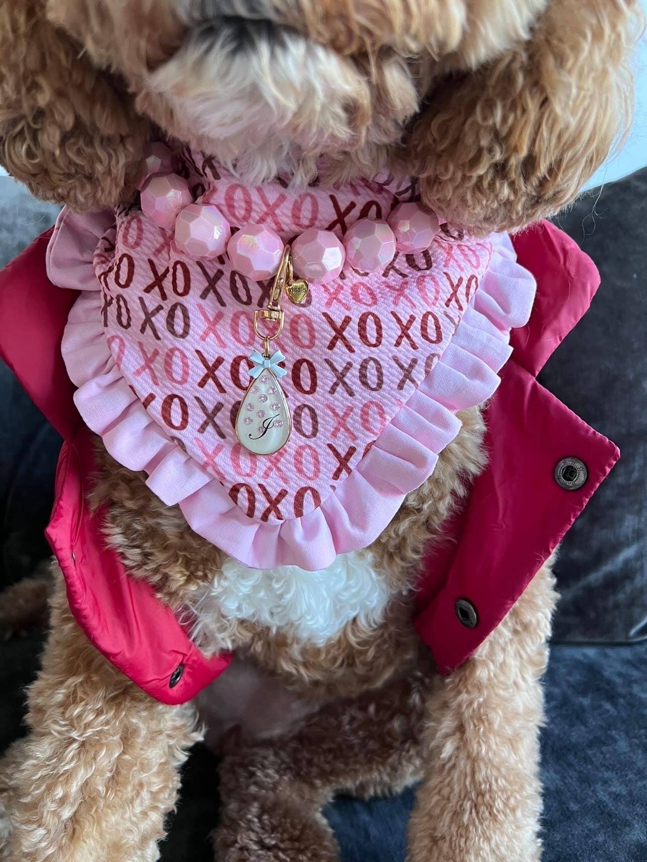 XoXo Valentines Dog bandana with ruffles