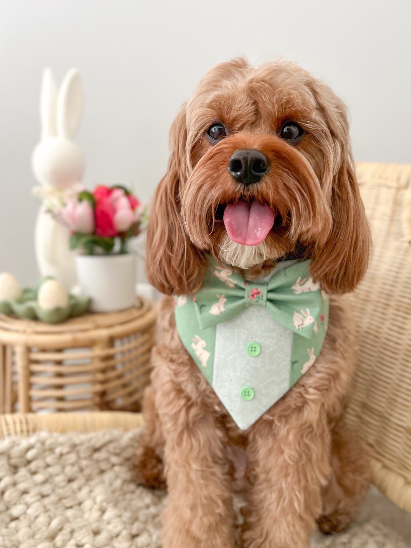 Easter Dog Tuxedo Bandana, Tiny Bunnies