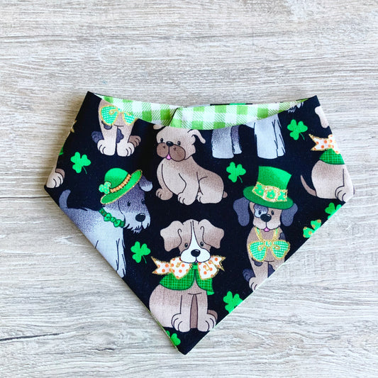 Patrick Dog Bandana, Puppies