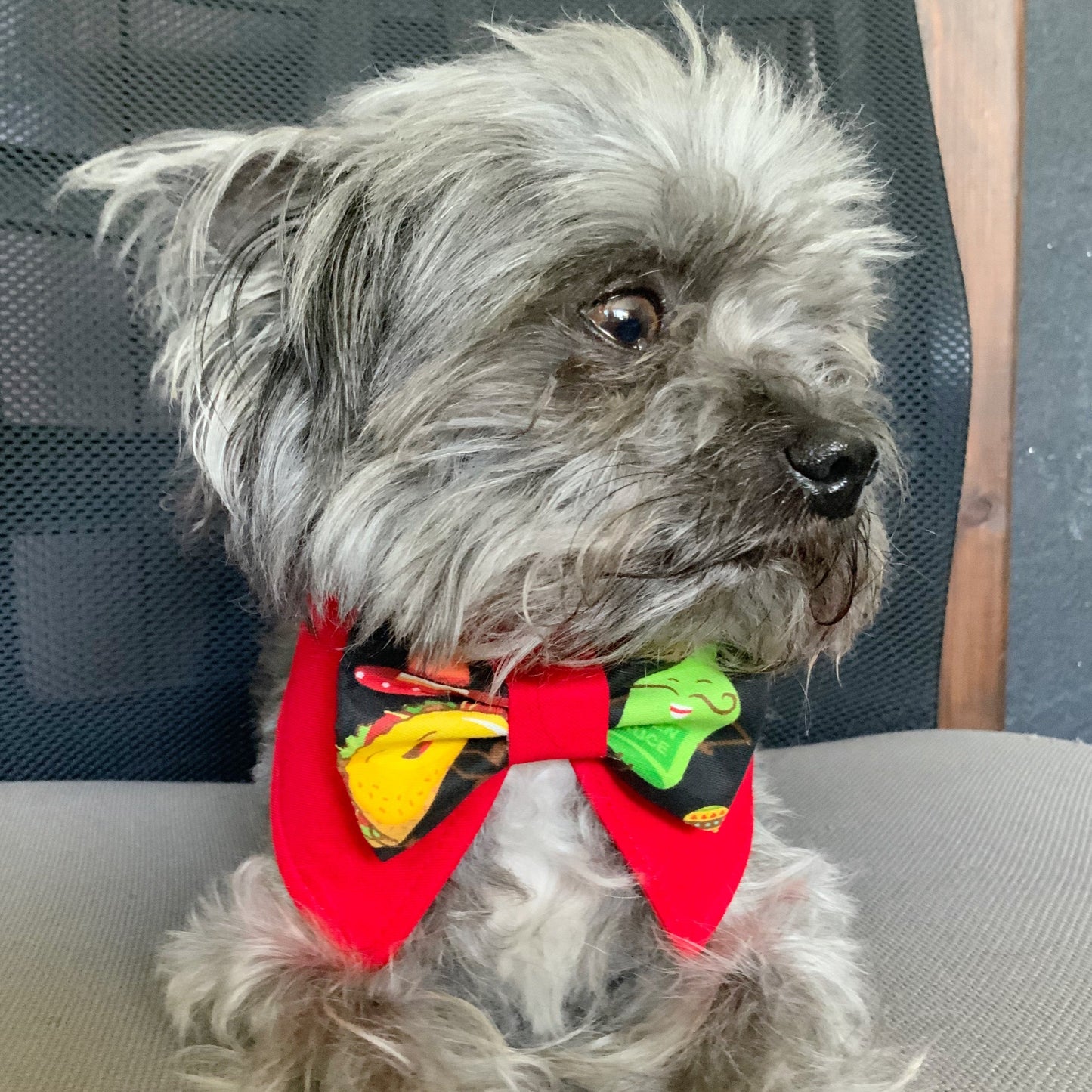 Cinco de Mayo Dog Collar Bandana, Tacos fiesta Tuxedo