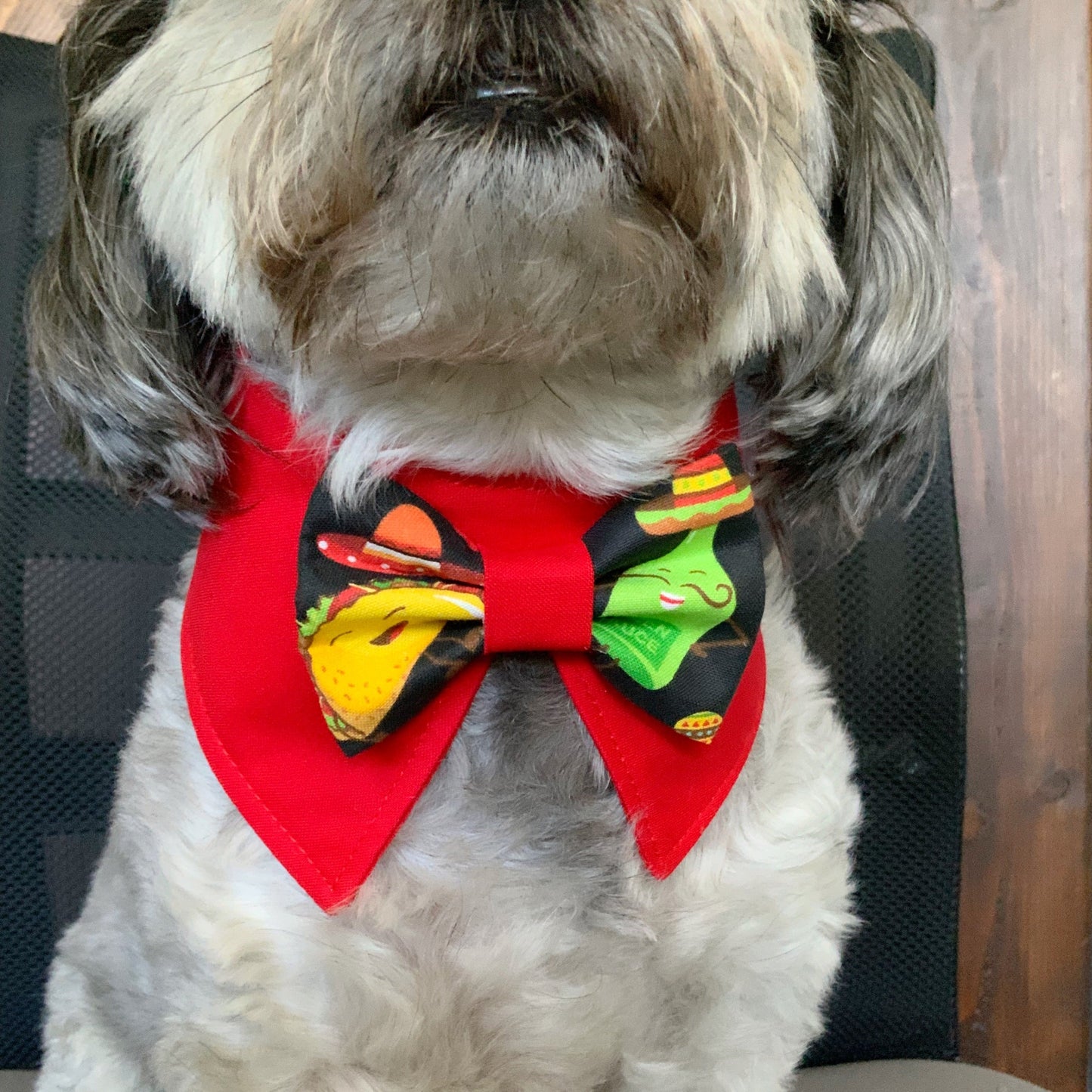 Cinco de Mayo Dog Collar Bandana, Tacos fiesta Tuxedo