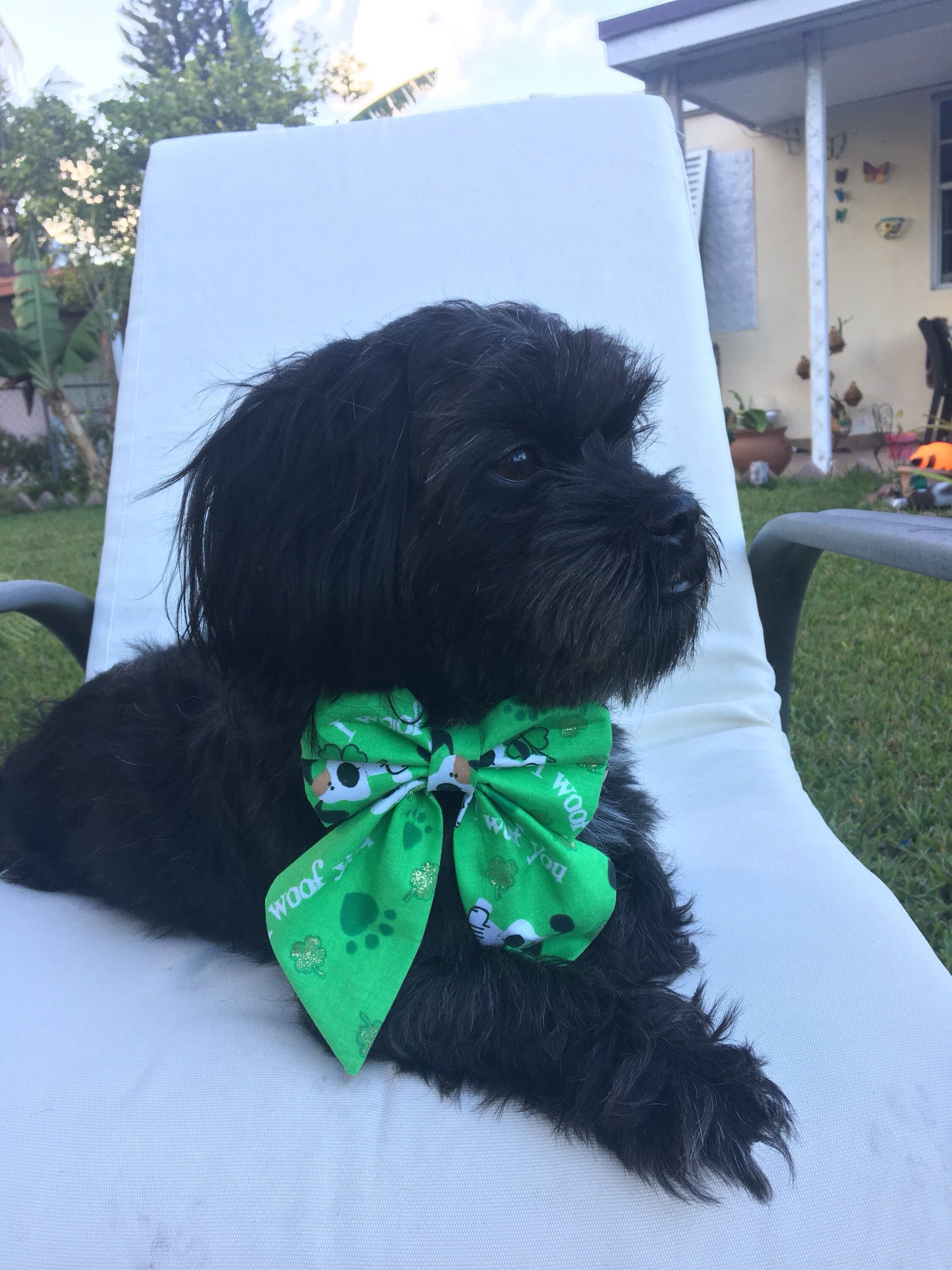Yellow Spring Bow Tie, Dog Accessories, Dog Clothe, Dog Bow tie, Puppy Bow, Pet Scarf, floral bow