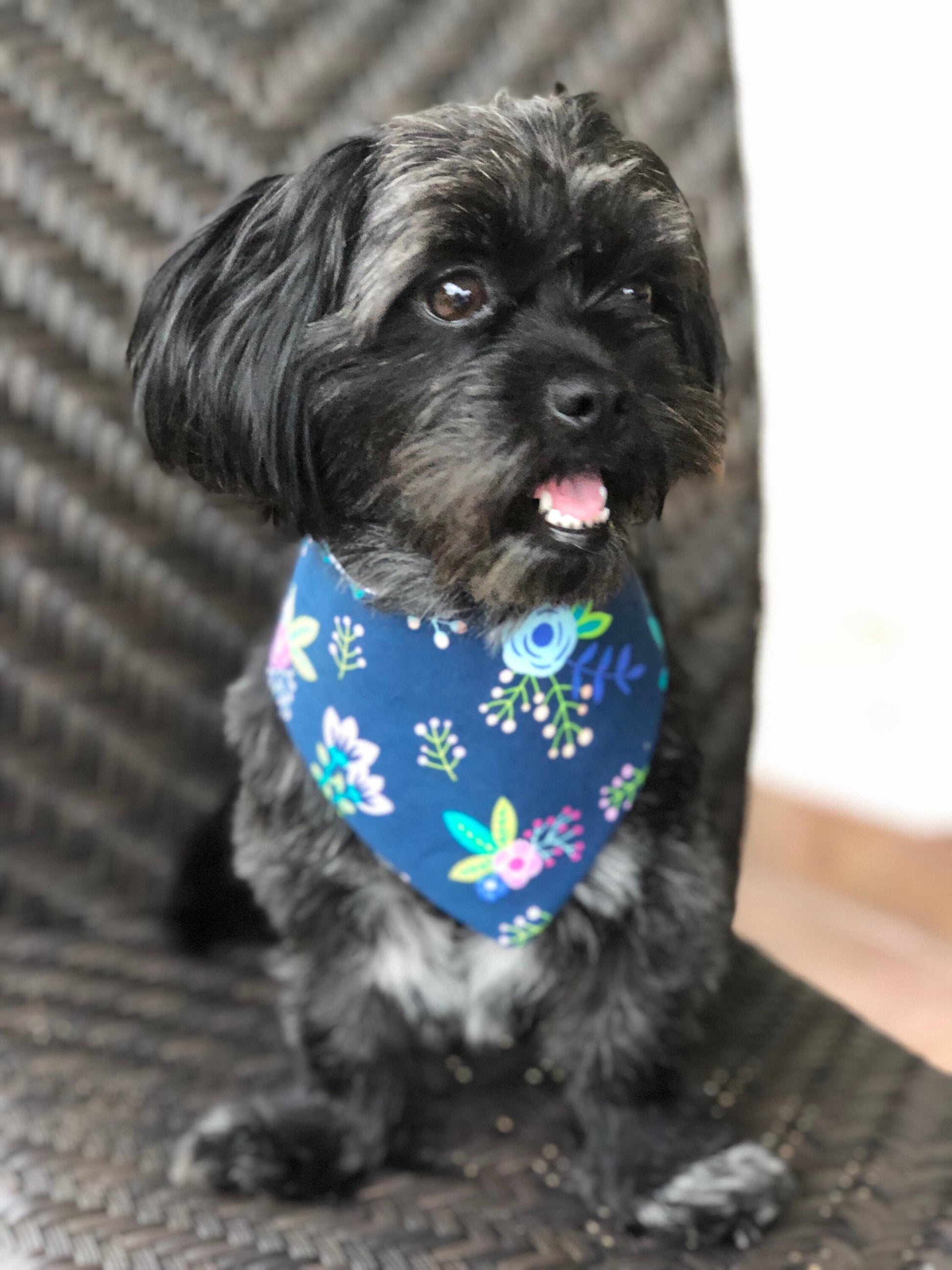 Blue Floral Dog Bandana