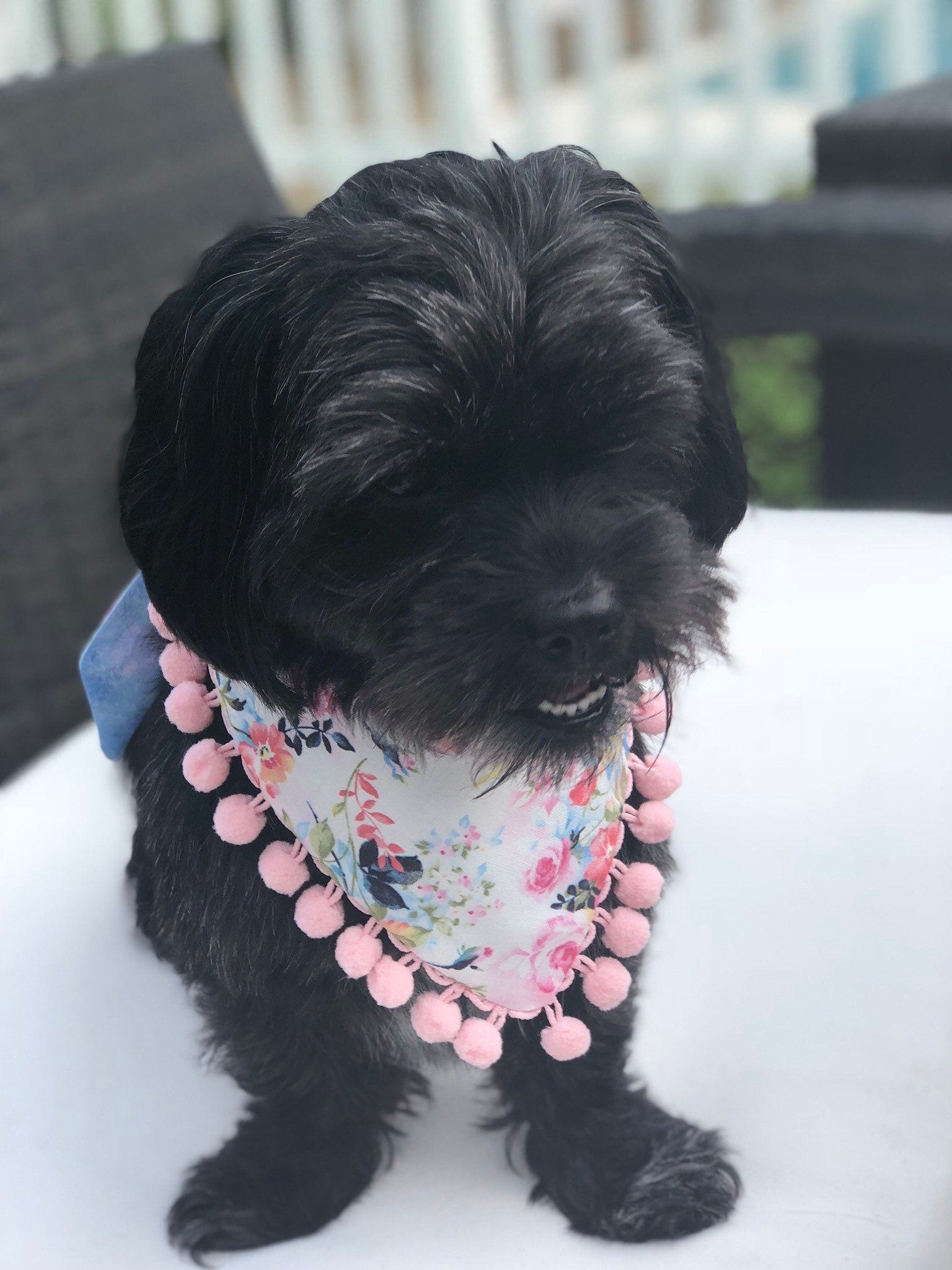 Mermaid Dog Bandana, Reversible Pet Scarf with Pom Poms