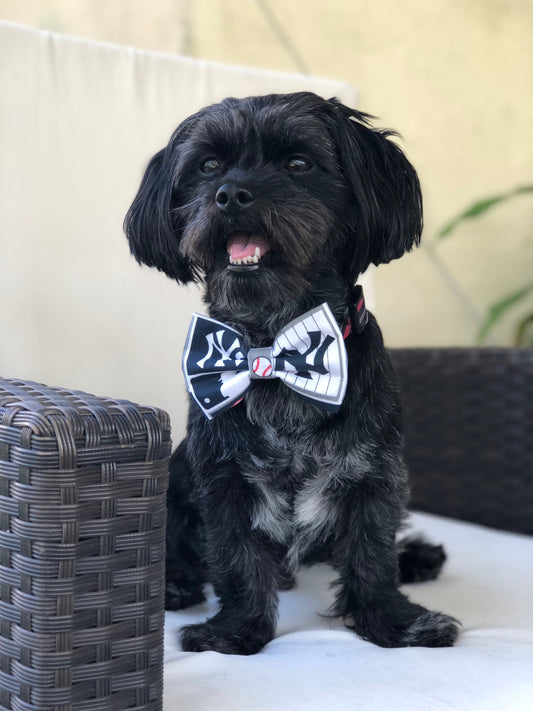 New York Yankees Dog Bow tie, New York dog Bow tie, NY Yankees dog bow tie, NY Dog bow tie, New York Bow tie, Yankees Bow tie, NY Bow tie,