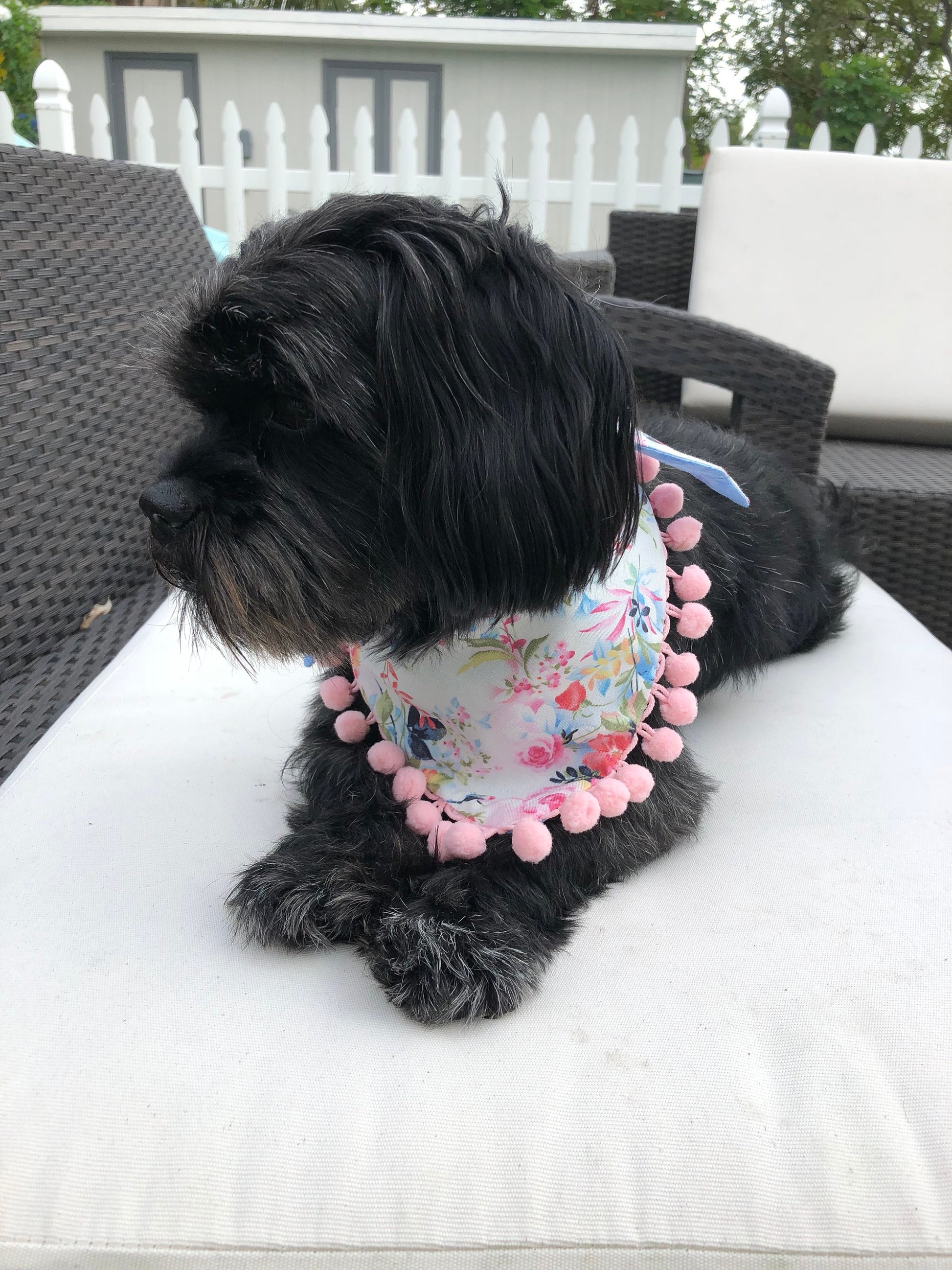 Mermaid Dog Bandana, Reversible Pet Scarf with Pom Poms