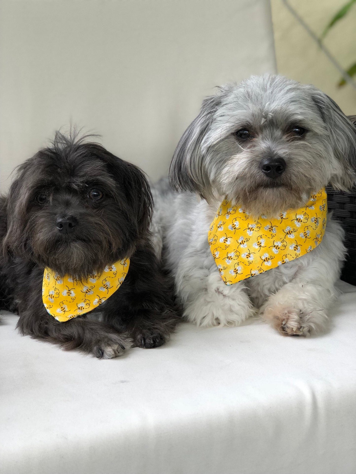 Bee Happy Dog Bandana