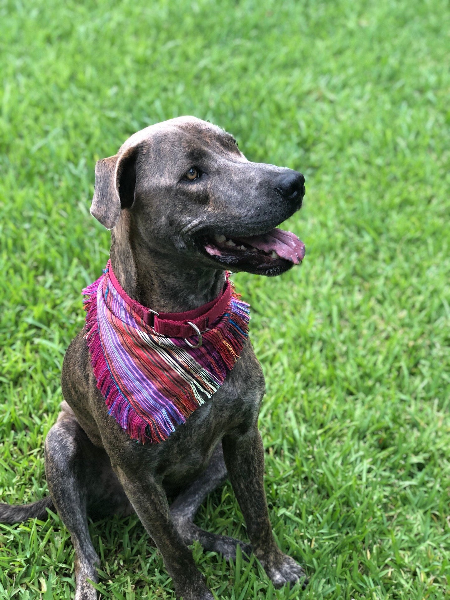 Mexican Cambaya Dog Bandana, Dog Accessories, Dog Clothe, Puppy Bow, Pet Scarf, ethnic , reversible, snaps on, tie on, summer bandana