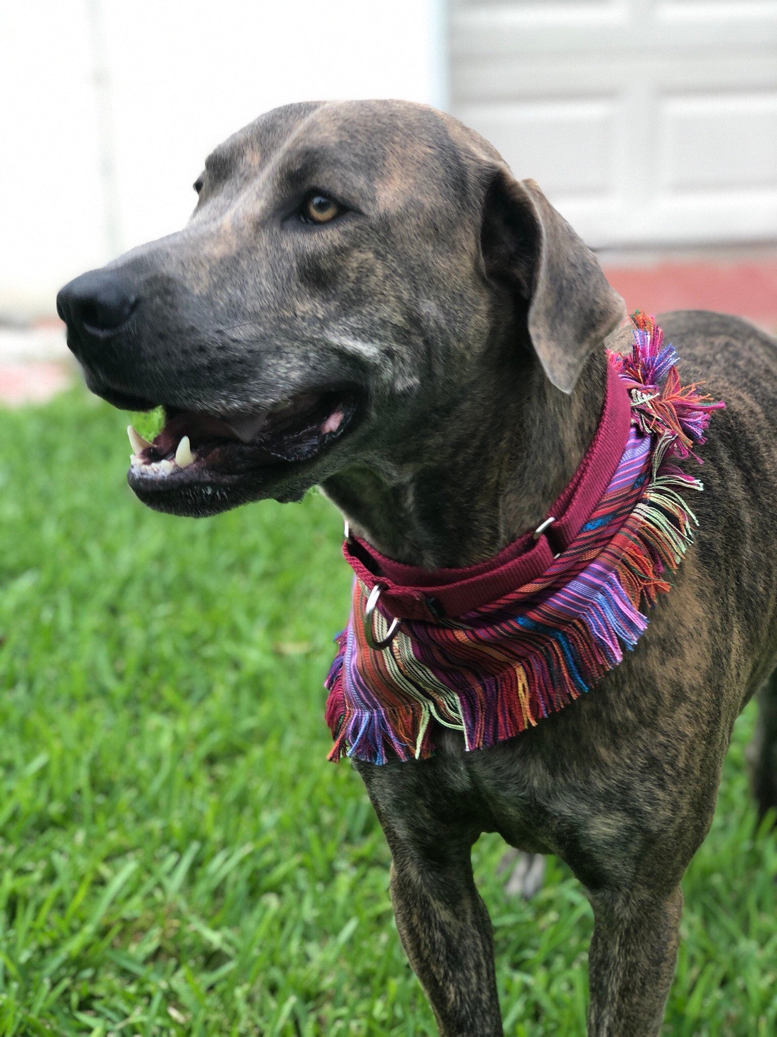 Mexican Cambaya Dog Bandana, Dog Accessories, Dog Clothe, Puppy Bow, Pet Scarf, ethnic , reversible, snaps on, tie on, summer bandana