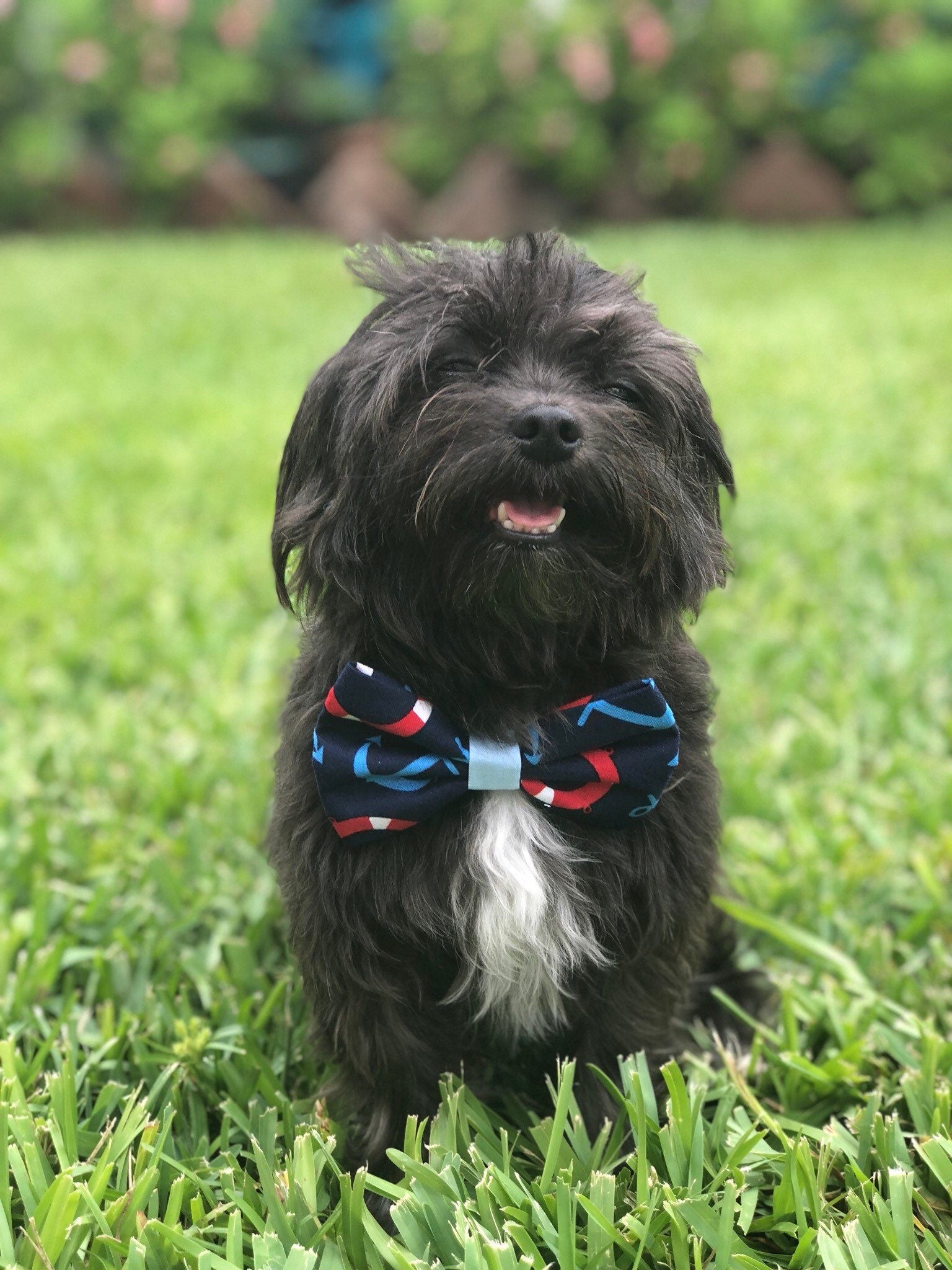 Star Dog Bow Tie, Colorful Puppy Bow, Pet Collar Accessory
