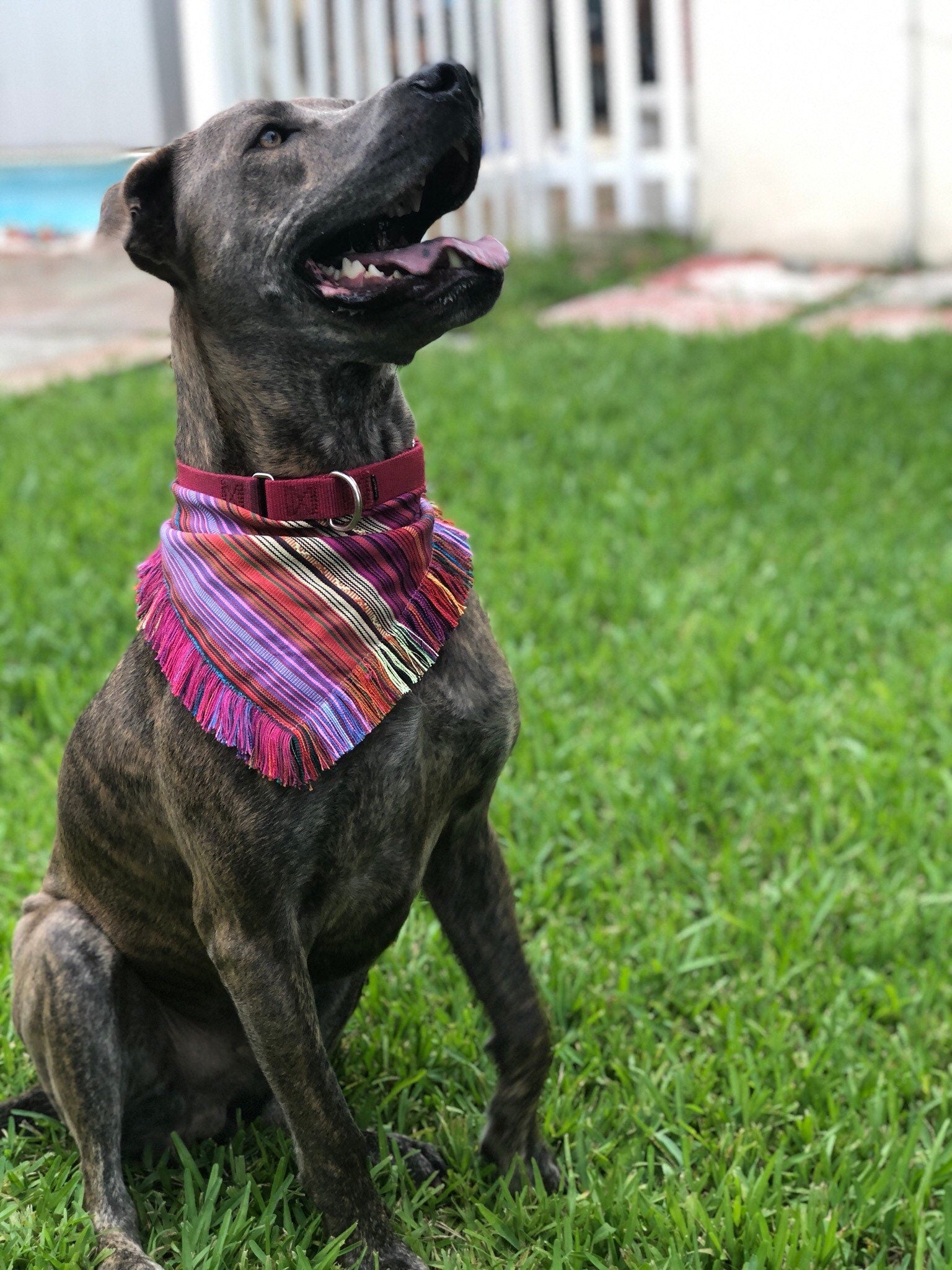 Mexican Cambaya Dog Bandana, Dog Accessories, Dog Clothe, Puppy Bow, Pet Scarf, ethnic , reversible, snaps on, tie on, summer bandana